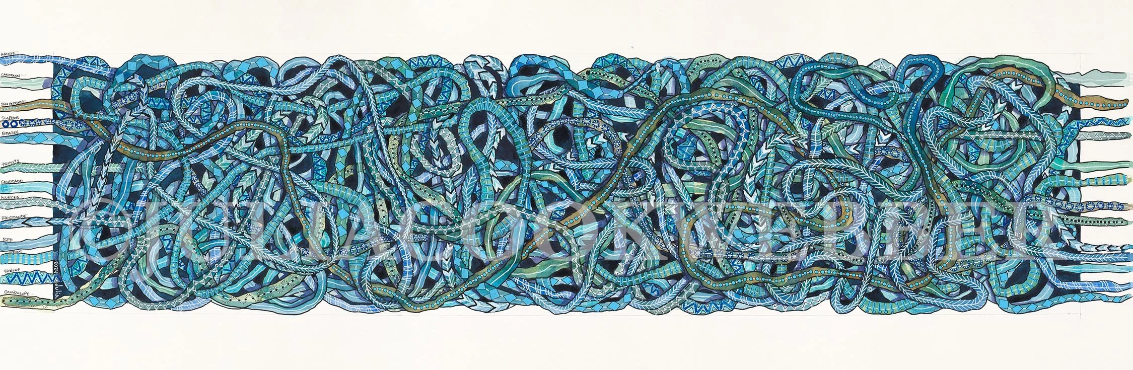 JWEBBER TEXAS RIVERS WEBSITEwm.jpg