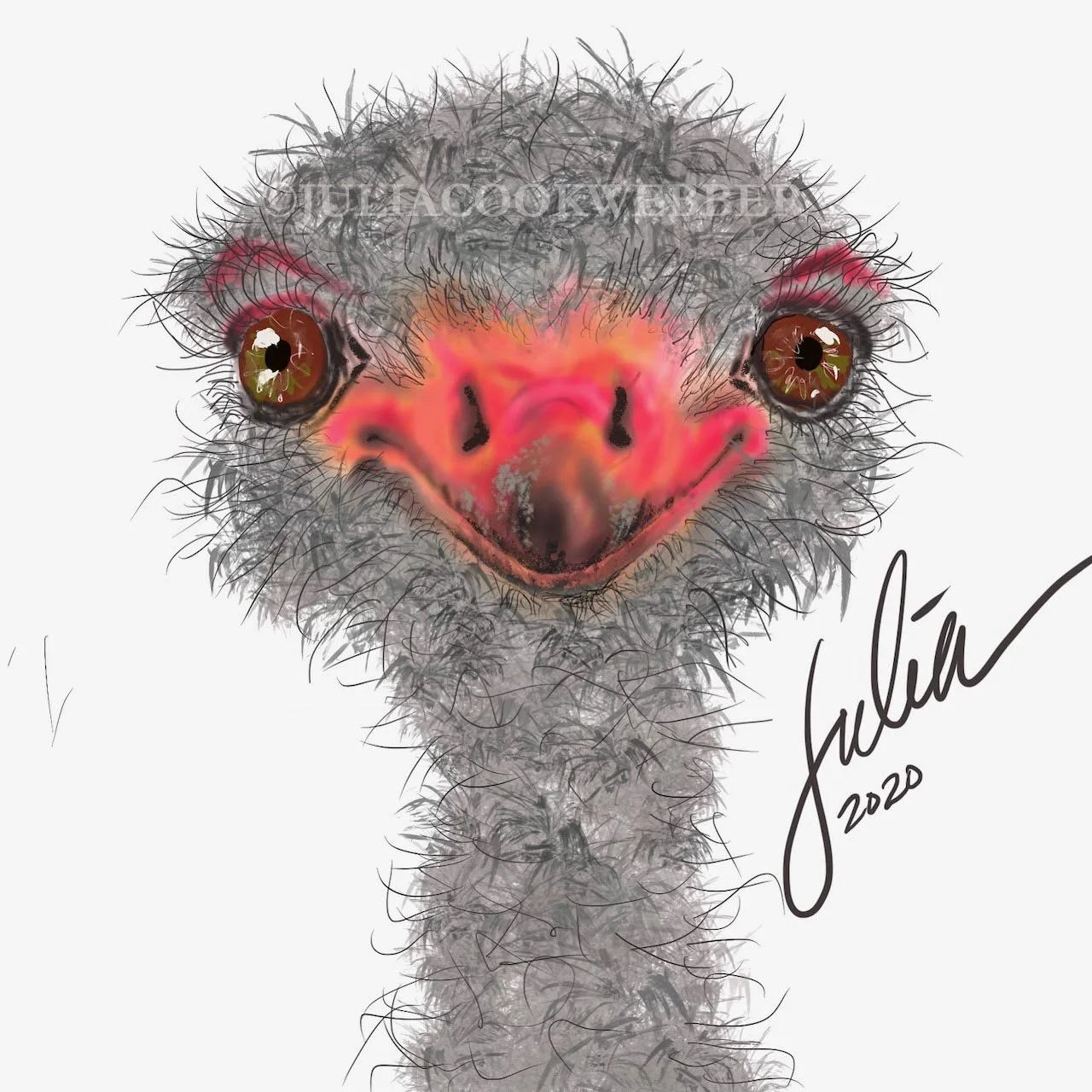 JWEBBER 2020OSTRICHPROCREATE WEBSITEwm.jpg