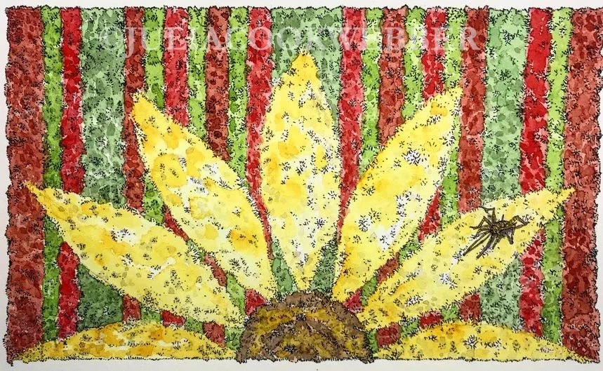 JWEBBER TYLB03 WEBSITEwm.jpg