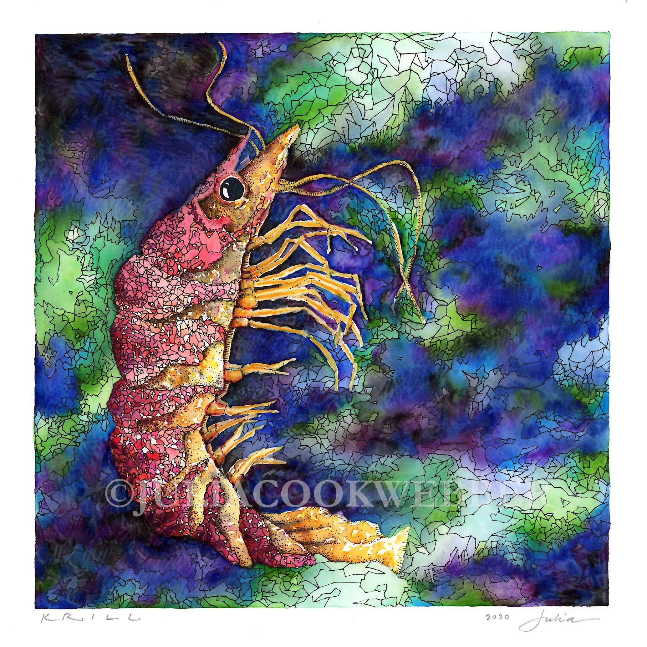 JWEBBER KRILL WEBSITEwm.jpg