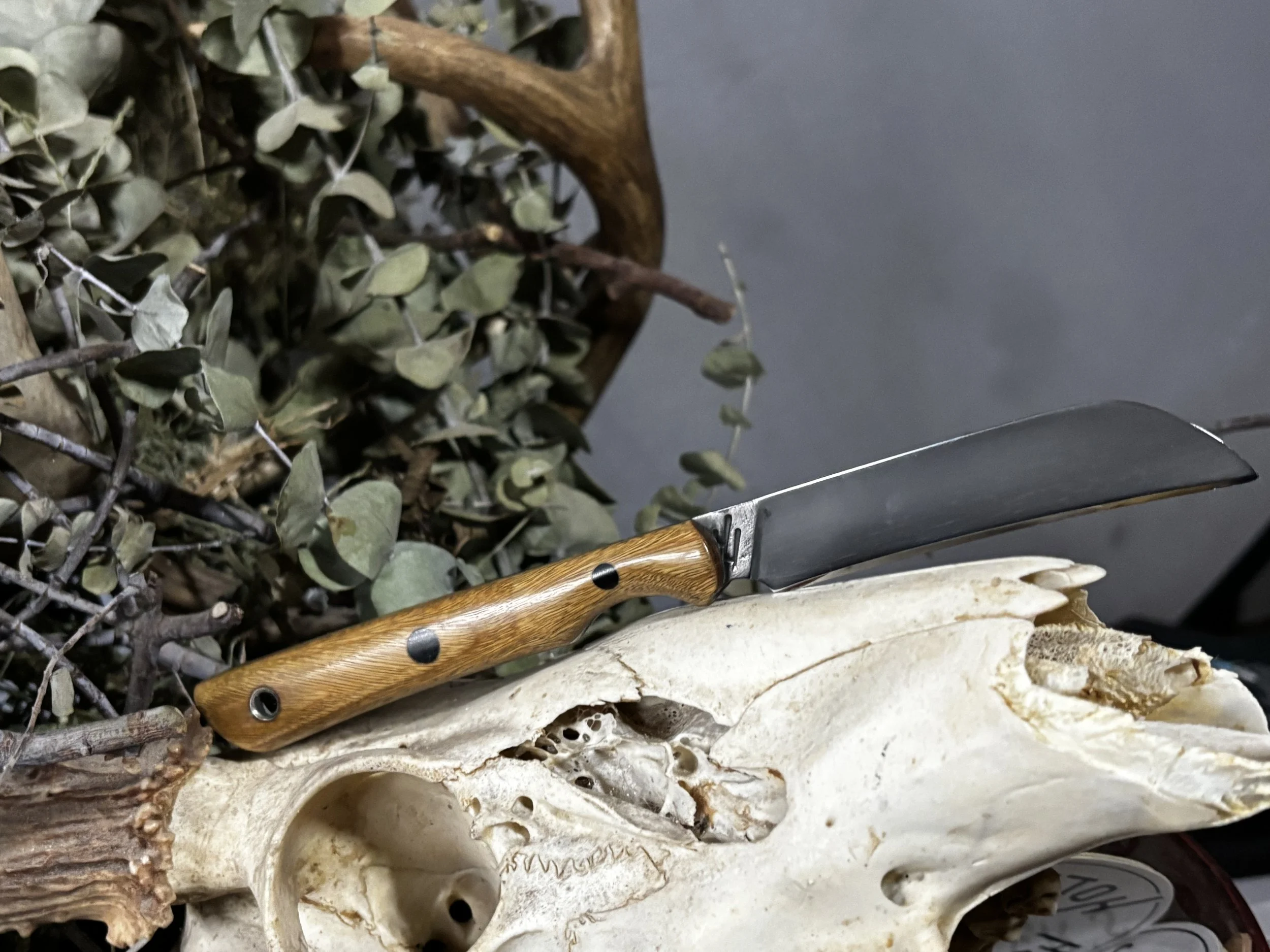 Wolfram Scalpel with Lignum Vitae handle