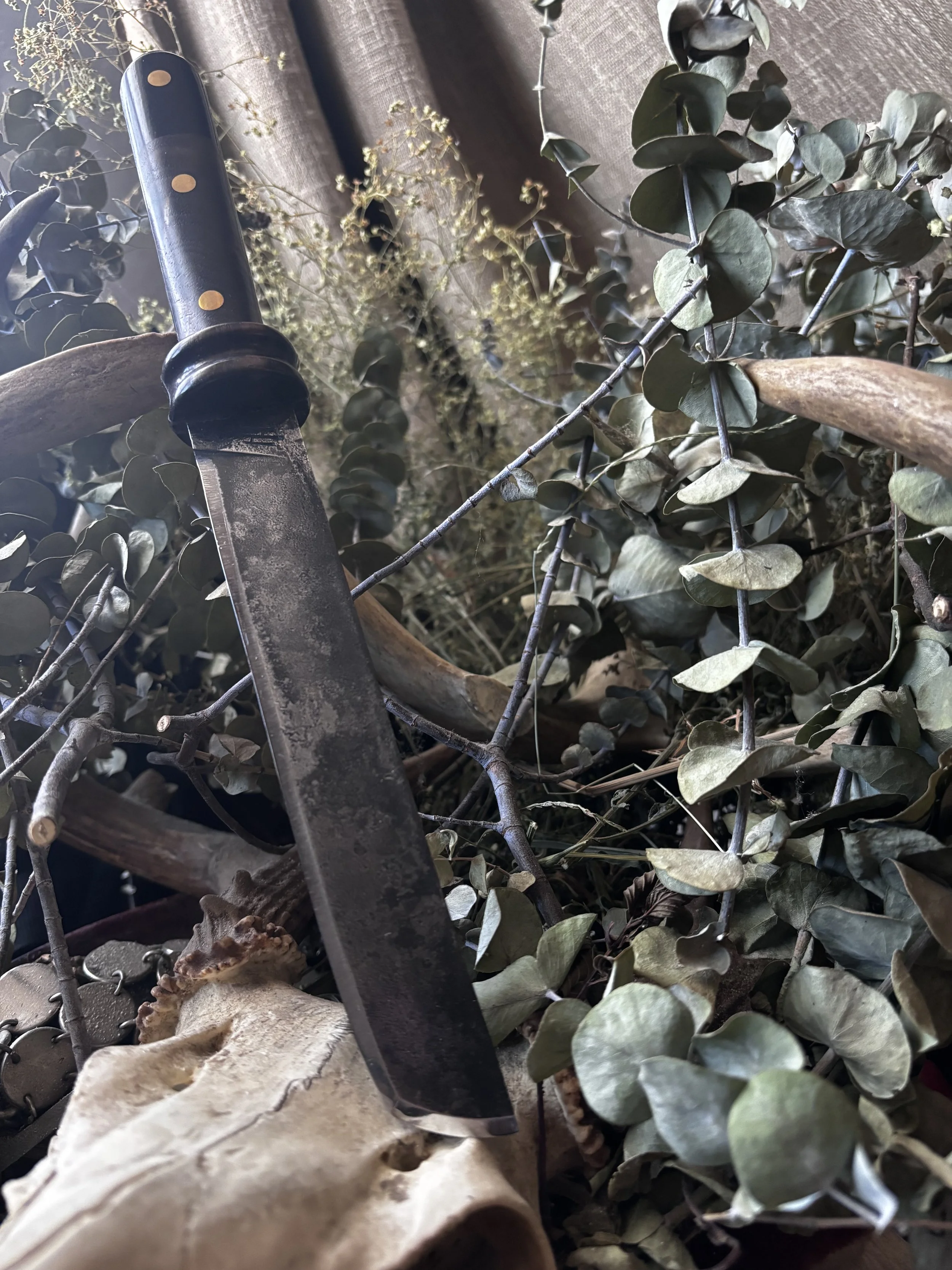 52100 Textured Tanto Ebony, Walnut, and Blackwood Handle