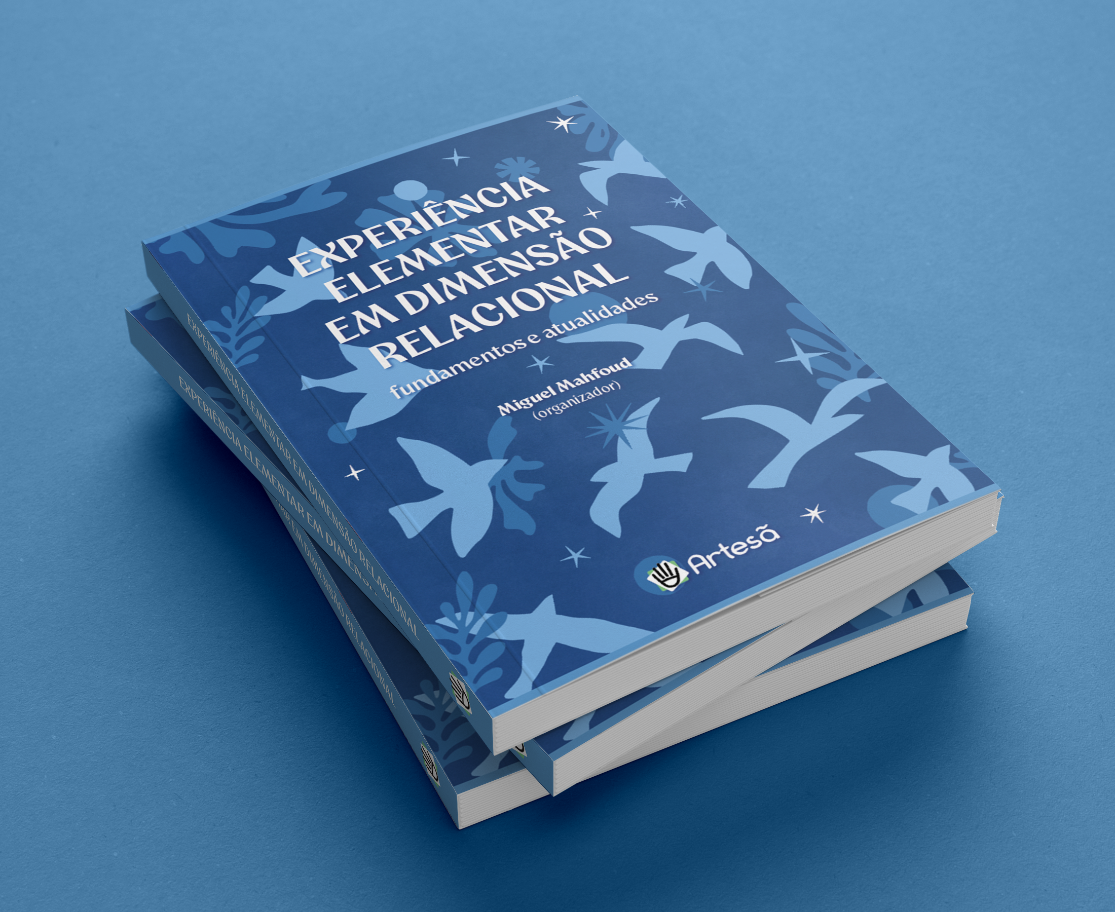 Experiência Elementar em Dimensão Relacional