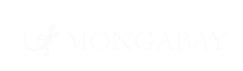 Untitled design (8).png