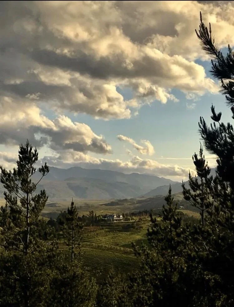 Scenic view across Oneiric, with trees in the foreground, rolling hills, mountains in the background, and a cloudy sky with sunlight breaking through.