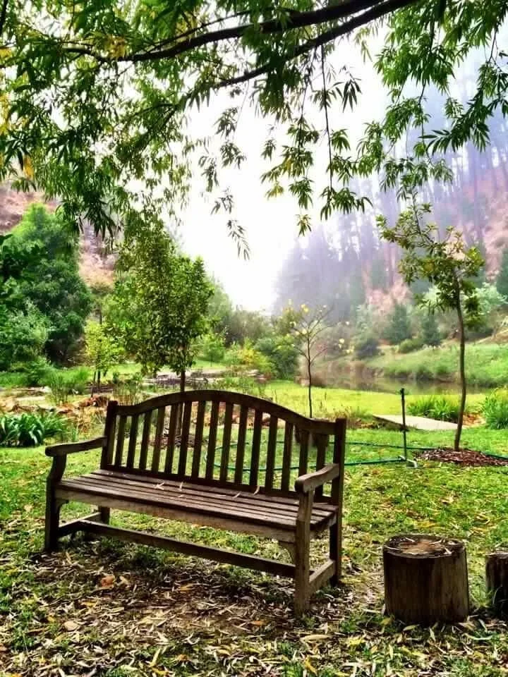 The Oneiric picnic area.