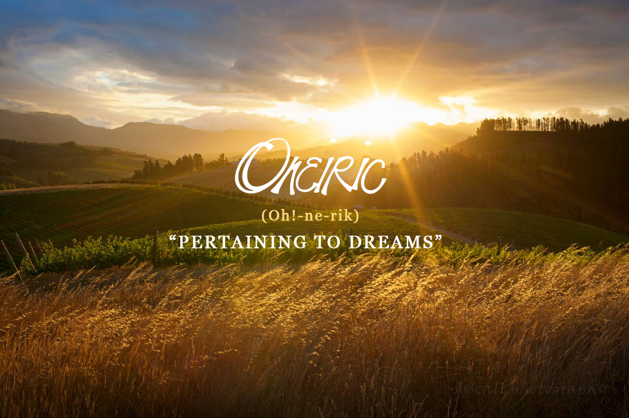 Oneiric, pronounced Oh!-ne-rik "pertaining to dreams"