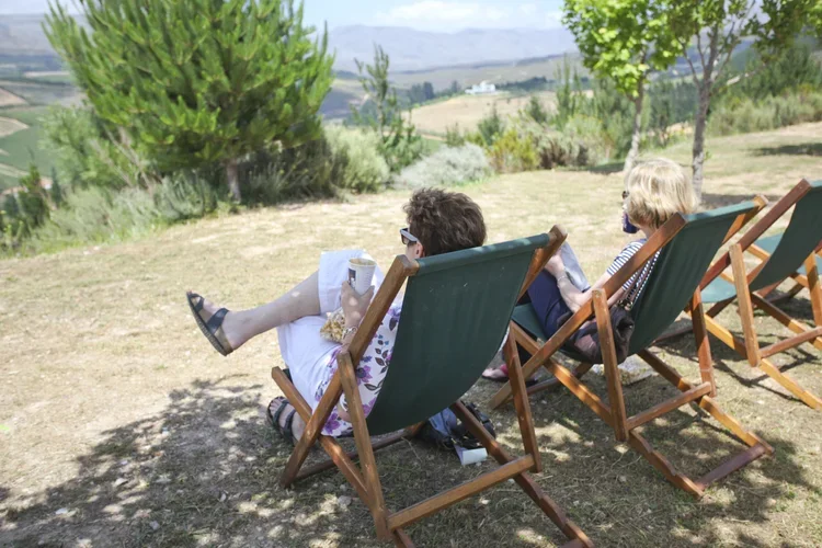 Guests enjoying the vistas on a lovely sunny day at Oneiric.