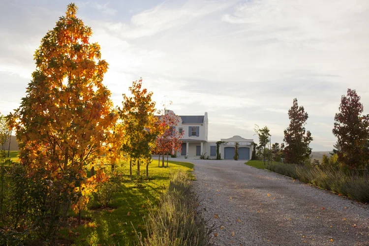 The Oneiric homestead, surrounded by trees with autumn foliage on a sunny day.