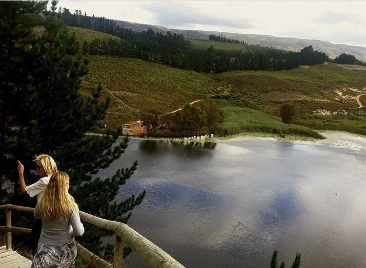 Walking up the boardwalk to get an overview across the Kogelberg biosphere at Oneiric, South Africa.