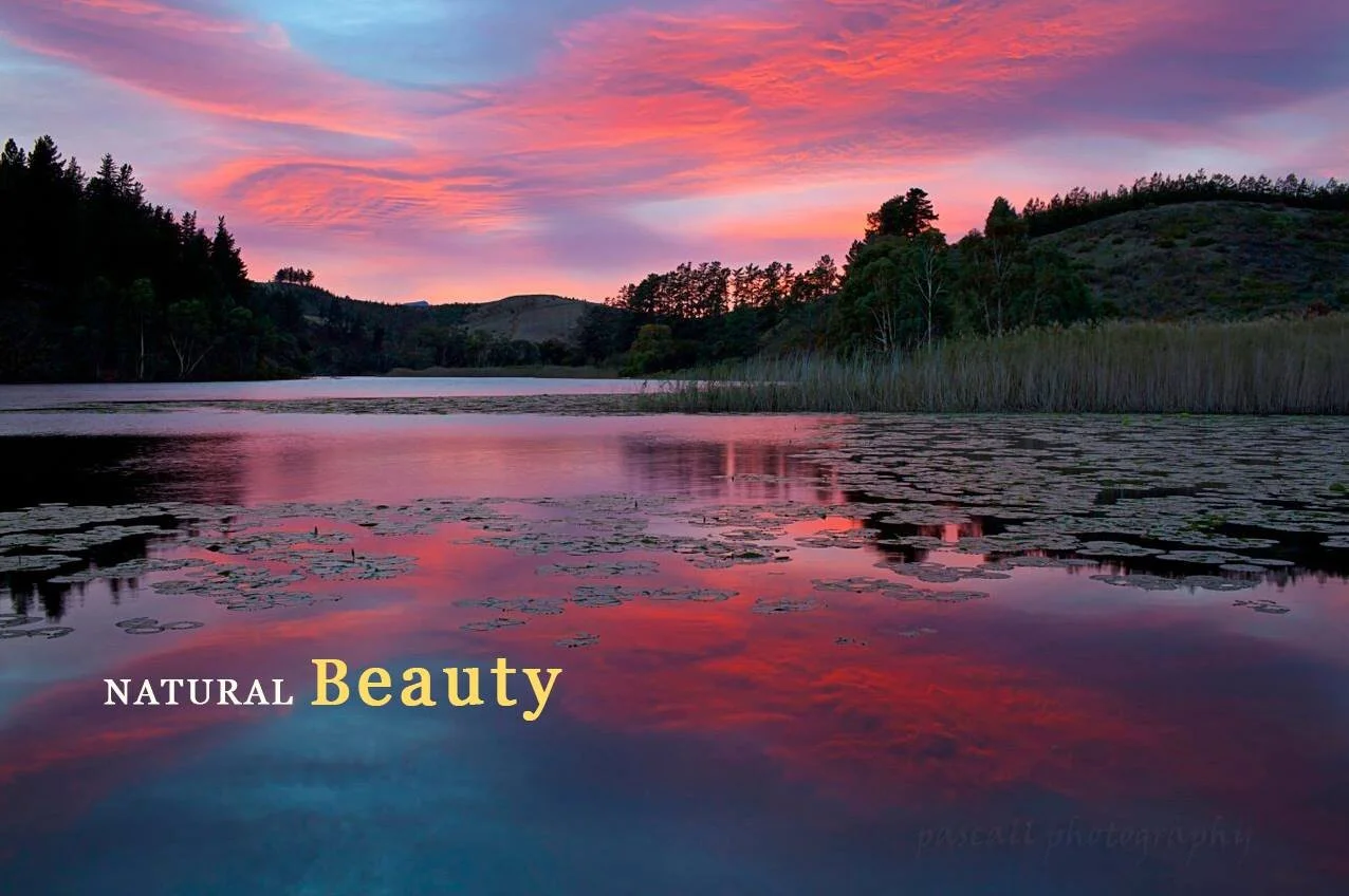 A peaceful lake at sunset with pink and purple sky, surrounded by trees and hills, reflecting the vibrant colors in the water, with the words 'Natural Beauty' overlaid, at Oneiric winery, Elgin, South Africa