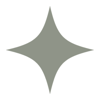 A shiny, silver, four-point star-shaped object with rounded edges