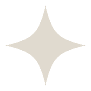 A geometric star-shaped design with a central point and four symmetrical points.