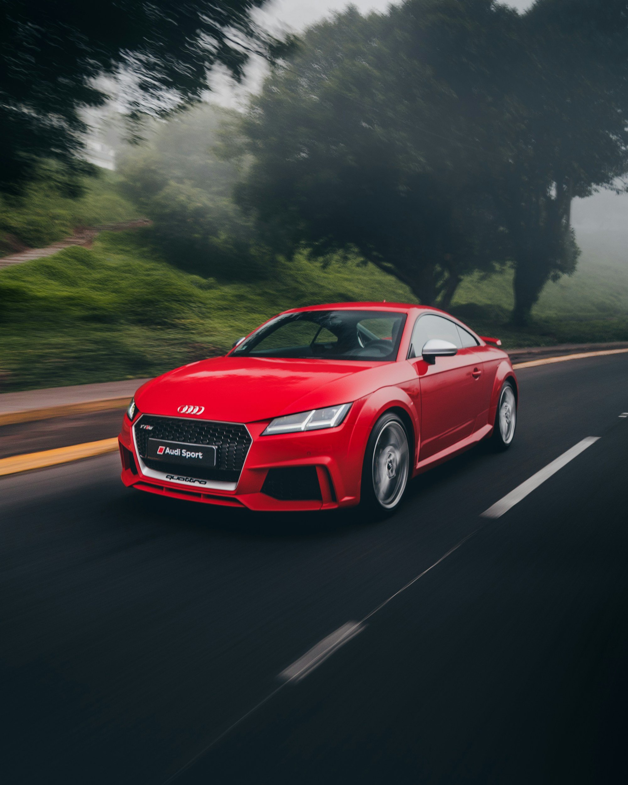 Red Audi sports car driving on a tree-lined road during foggy weather.