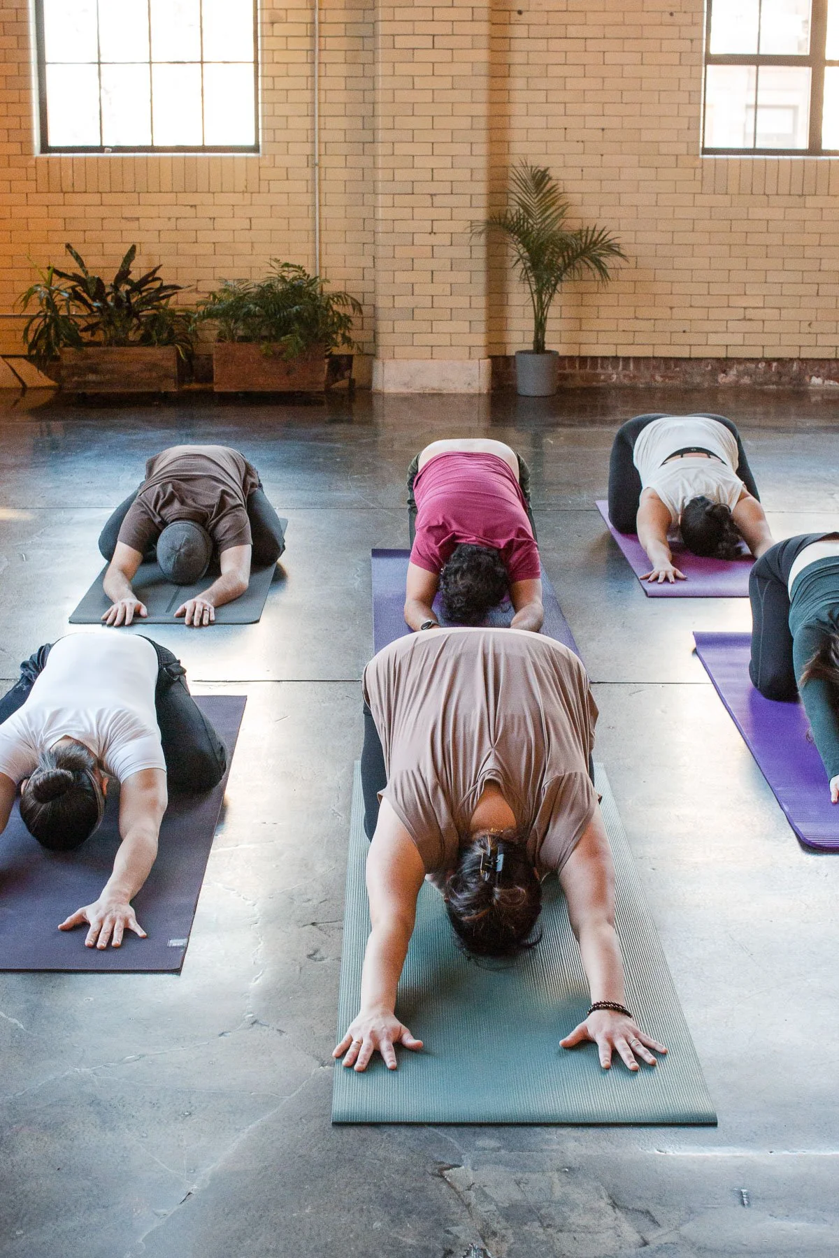 People practicing yoga in a studio with brick walls and large windows, all in the child's pose position.