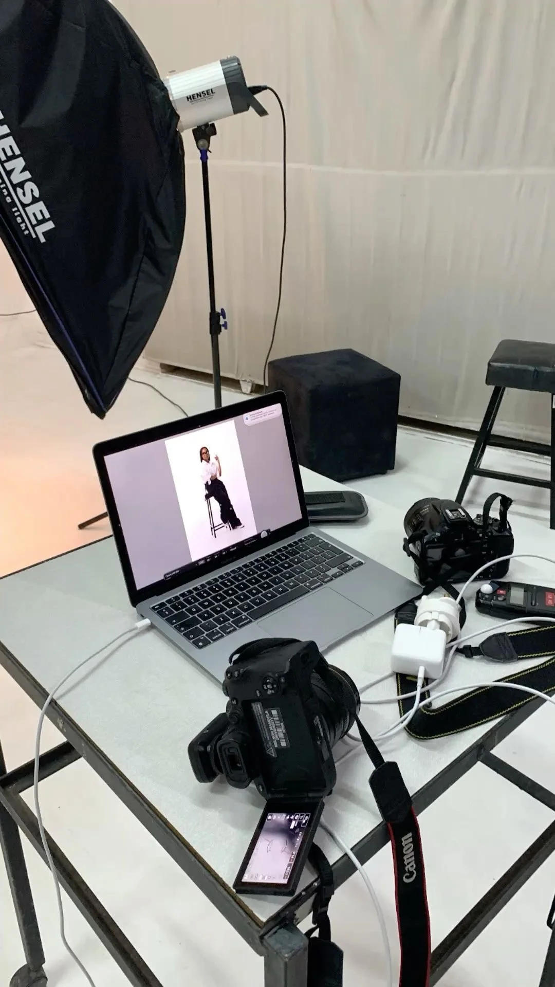 Posing  (virtual)   1/2 hrs