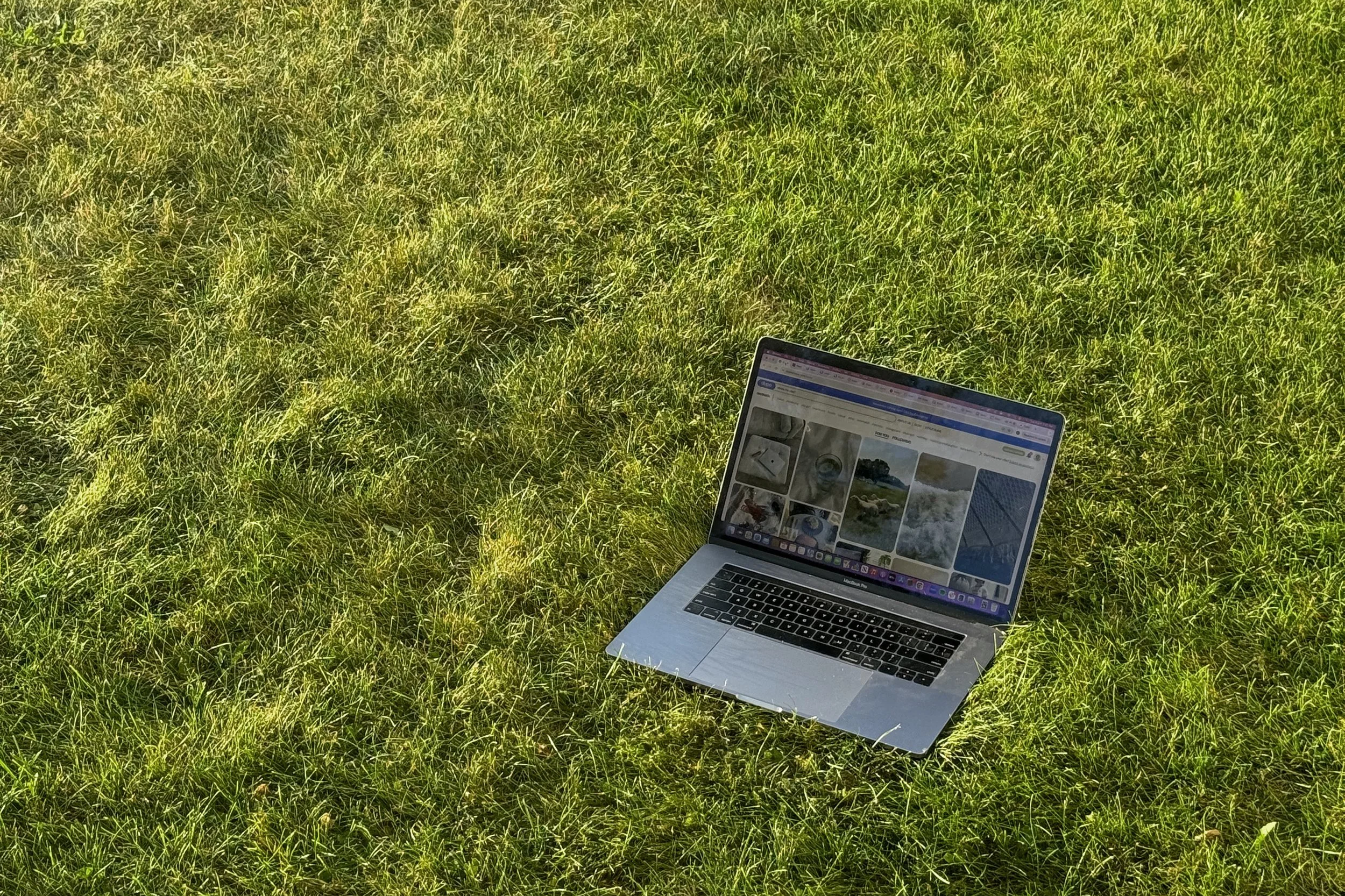 Open laptop on grassy field displaying a web page with images.
