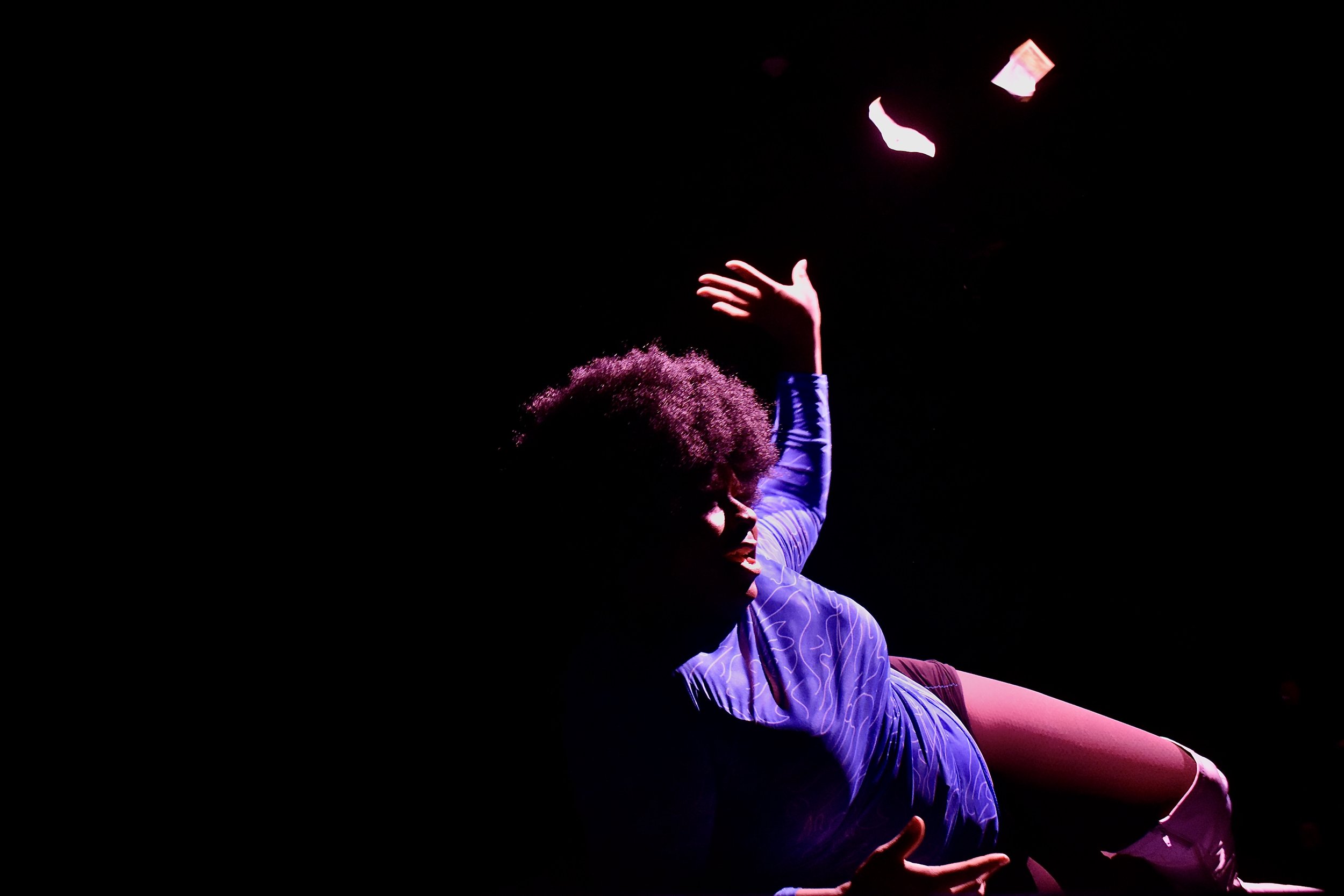 Park and Bark Drag: Black Excellence Show
