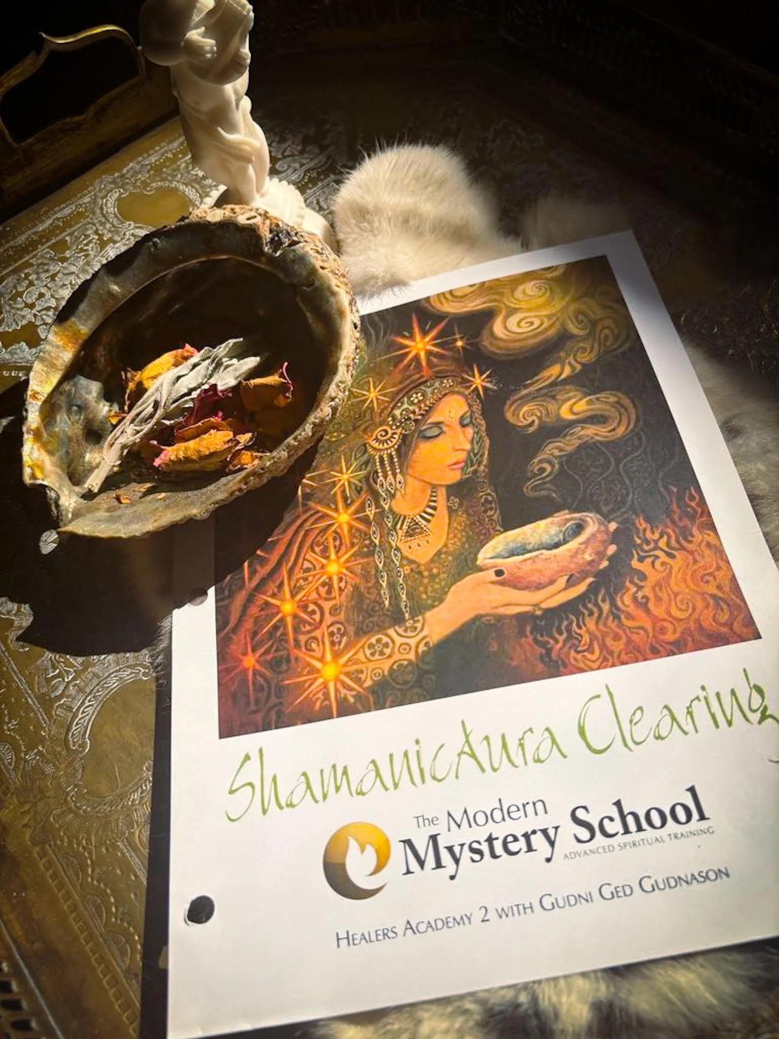 Shamanic Aura Clearing