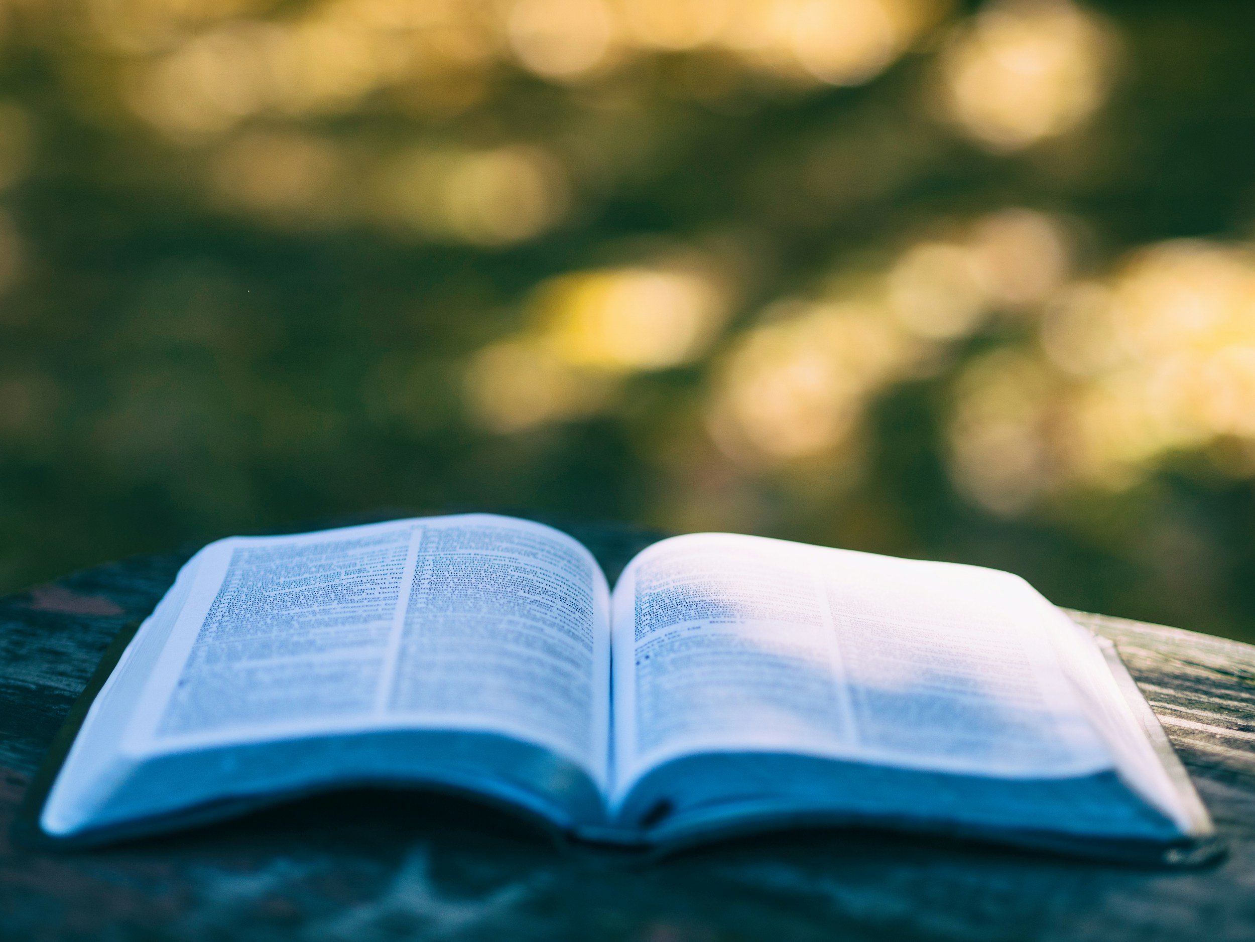 Open book lying on a surface outdoors, with blurred green and yellow foliage in the background.