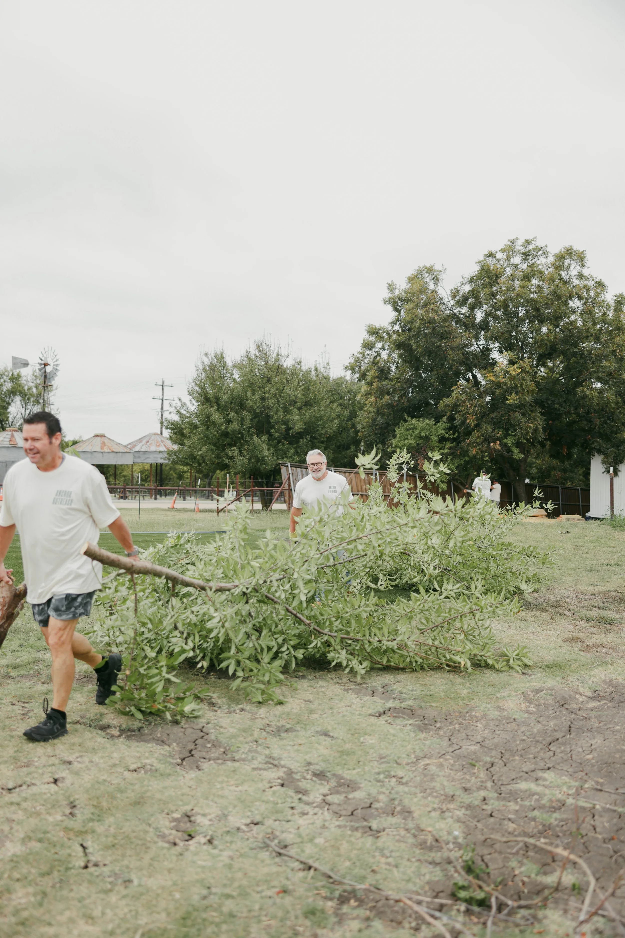 People working outdoors, clearing fallen branches from grass in a park or yard on a cloudy day.