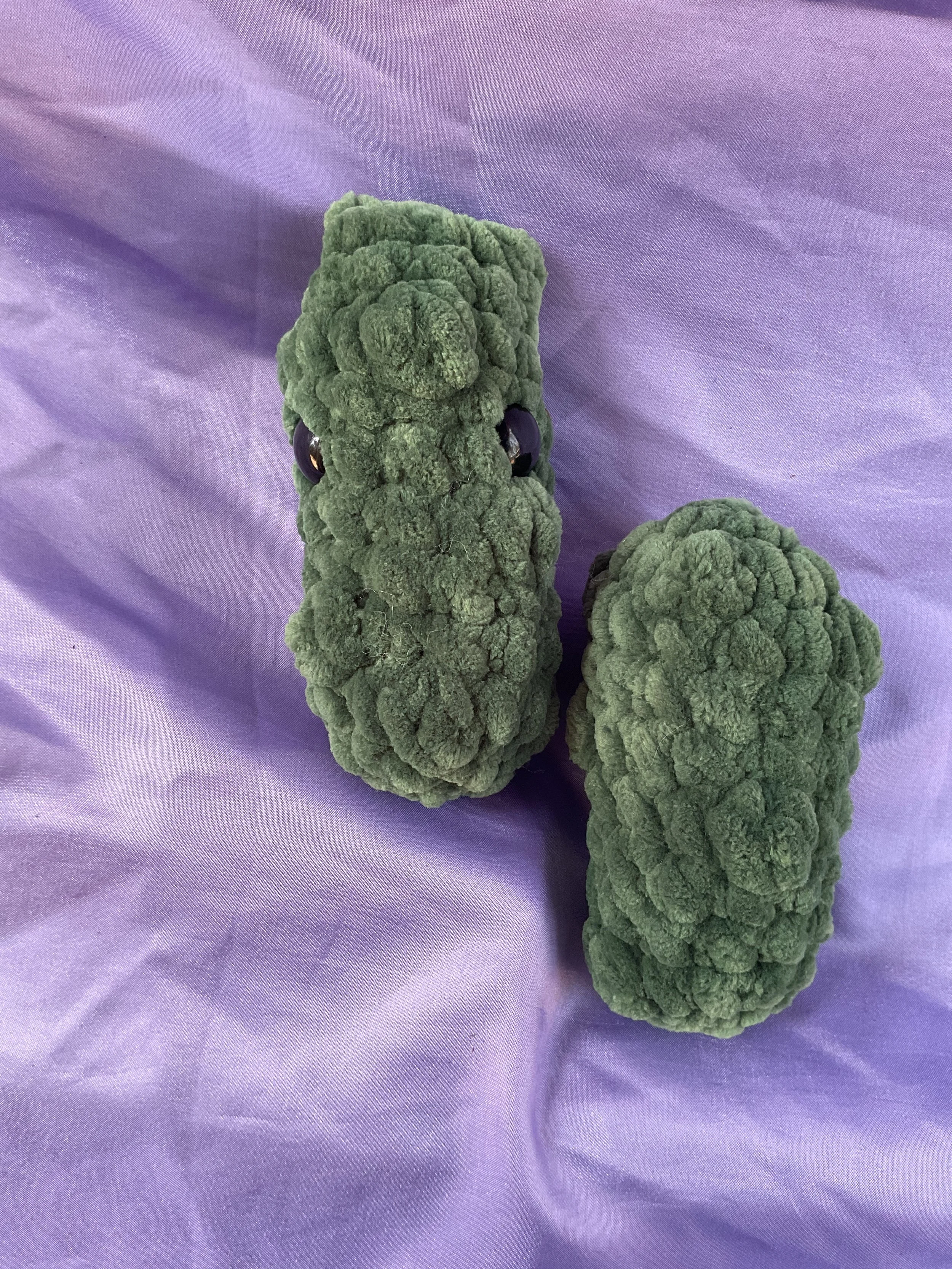 pickle (2).jpg