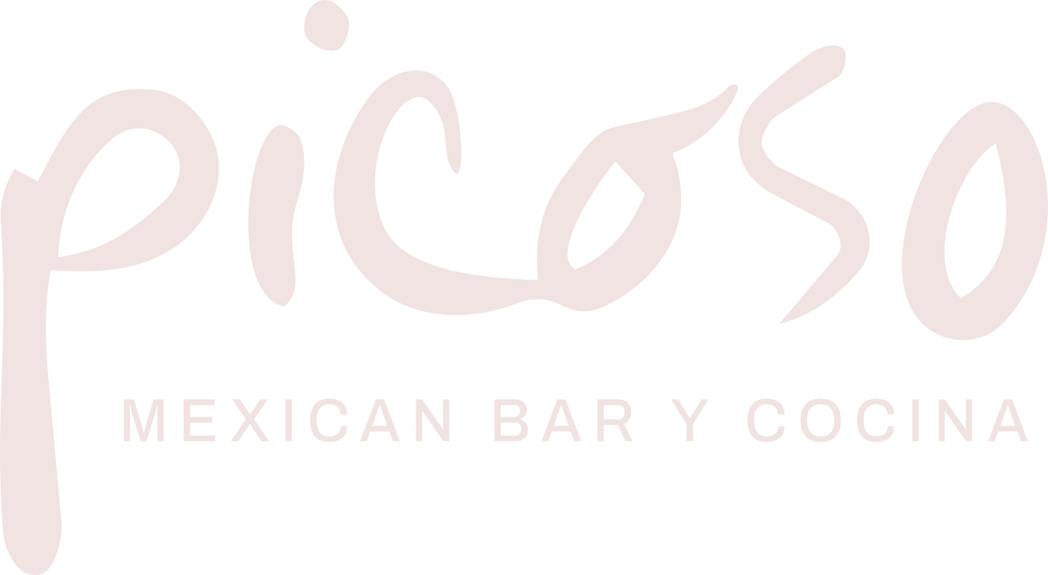 Picoso Mexican Bar Y Cocina