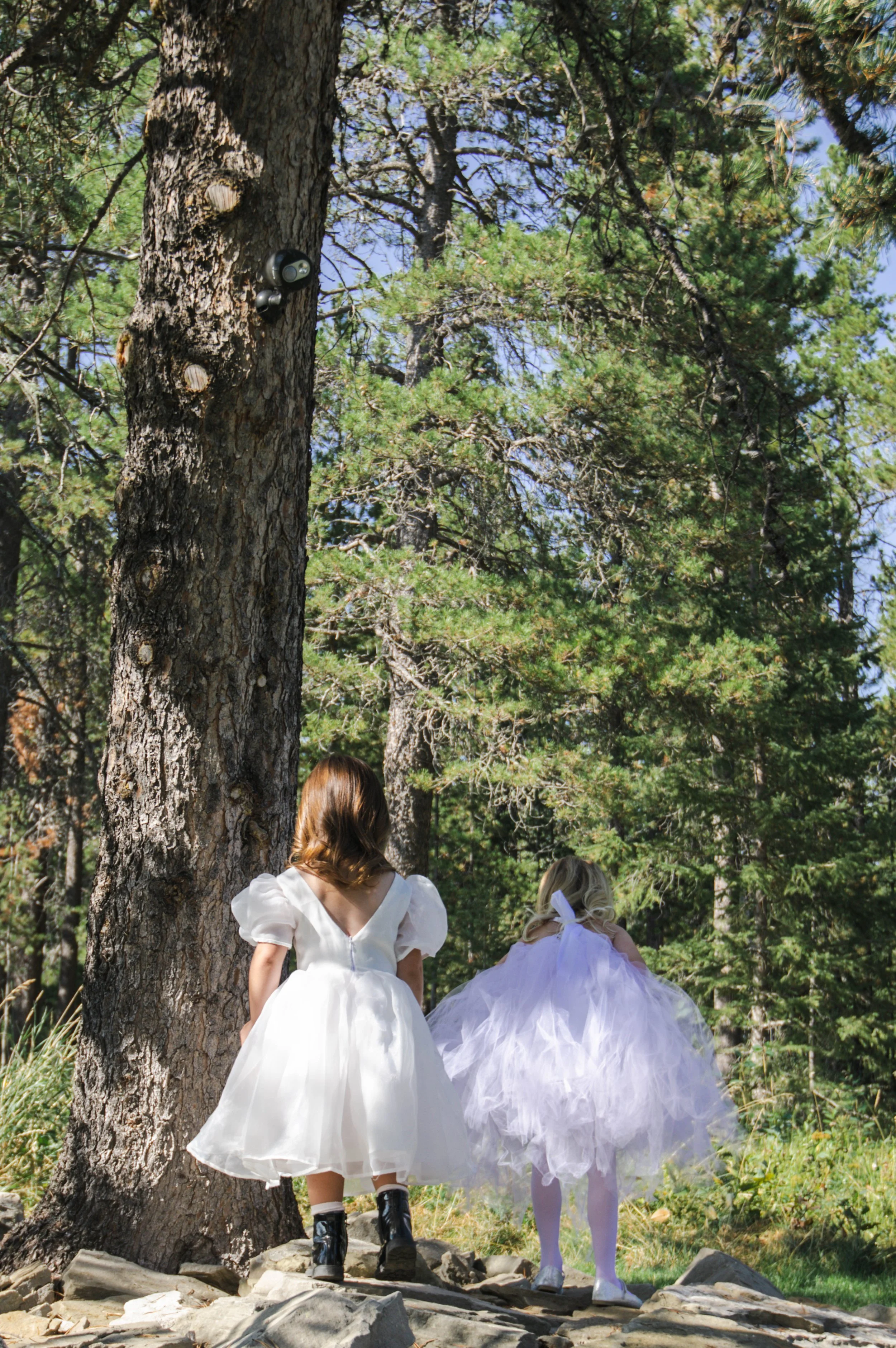 Calgary outdoor wedding ceremony photo