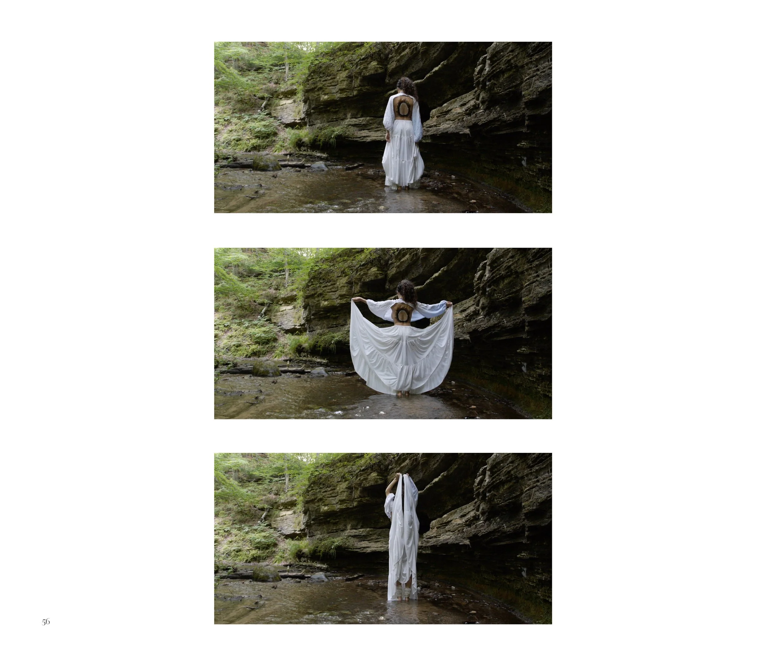 ShapeshiftersPage9_jenny_zander.jpg
