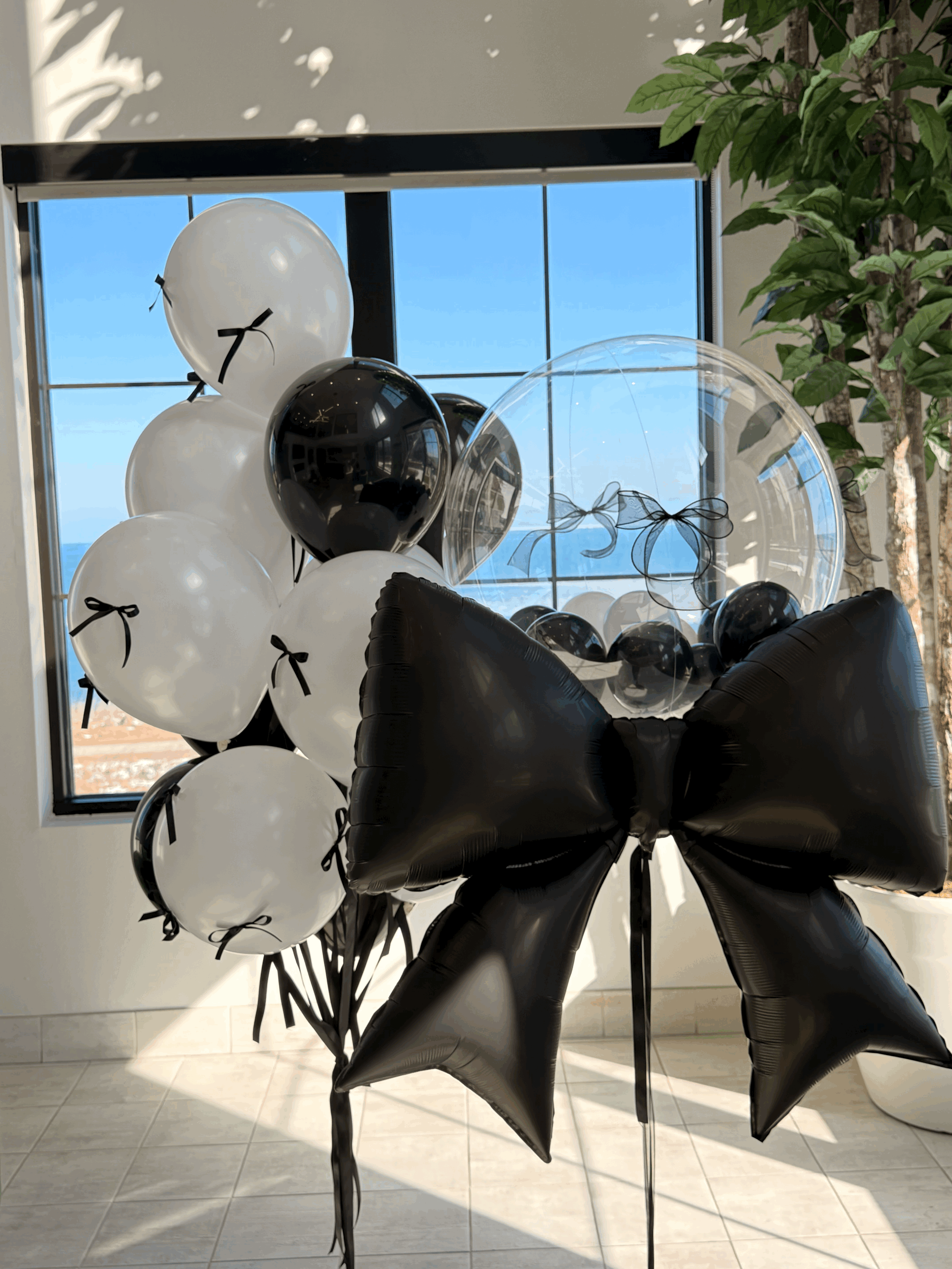 Classic Black & White Elegance