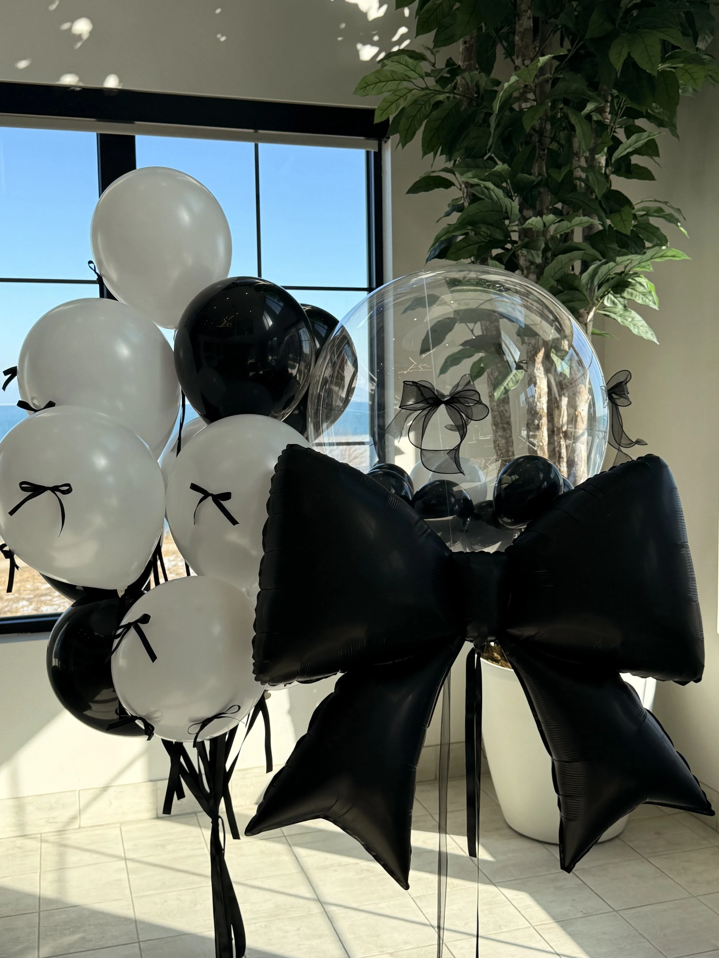 Classic Black & White Elegance