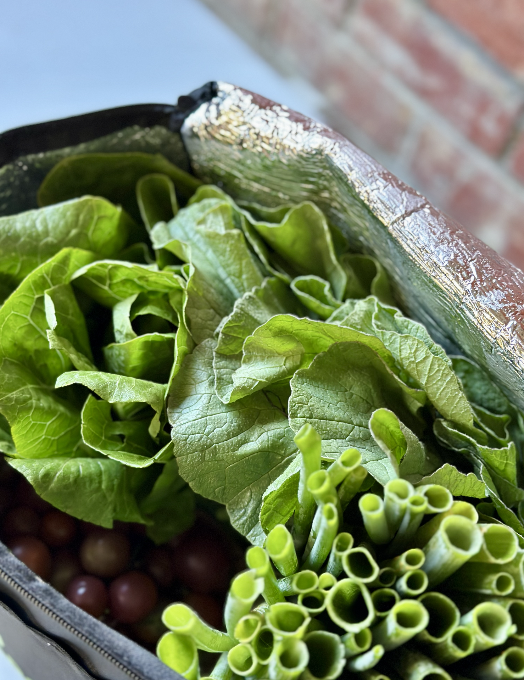 Screenshot 2025-07-29 at 3.19.59 pm.png