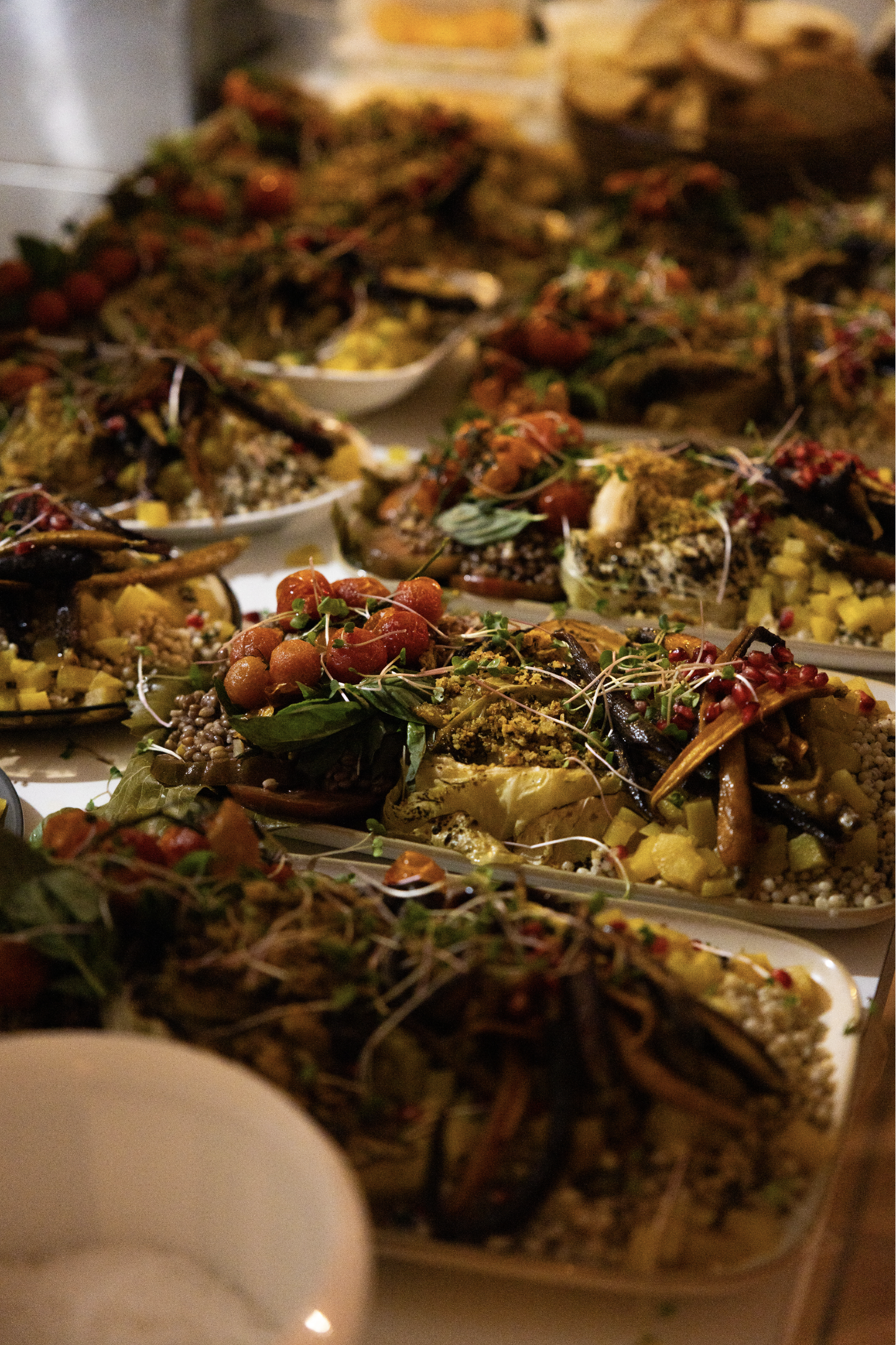 Screenshot 2025-07-29 at 3.22.42 pm.png