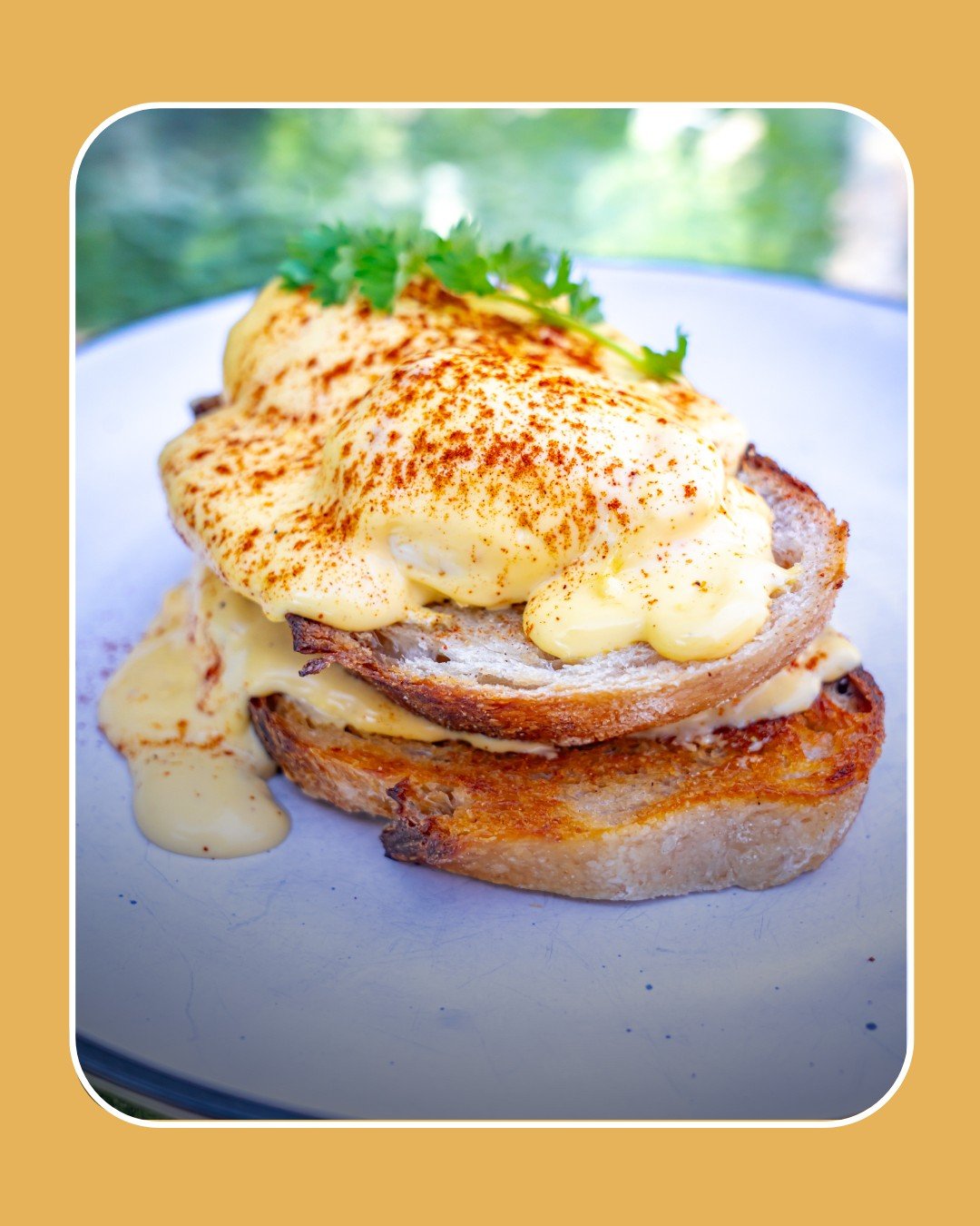 BUILD A BENNY ✨

Your breakfast, your rules.

Two perfectly poached eggs on Three Mills sourdough, finished with silky hollandaise, then build it your way.

Avocado, bacon, grilled tomato, mushrooms, hash browns&hellip; go classic or go big 😏☕