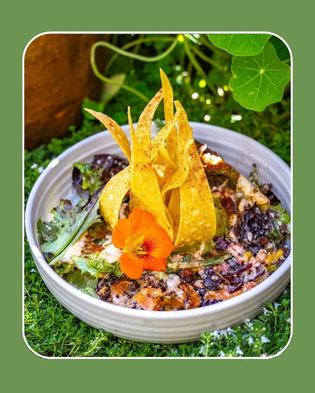 Mexican Street Salad 🌽🌿✨

Roasted sweet potato, peppers, black beans, charred corn, quinoa, guac, tortilla crisps &amp; coriander-lime dressing 🤍

Fresh, filling, a little smoky, a little crunchy - the kind of bowl that just works 😏

Want to leve