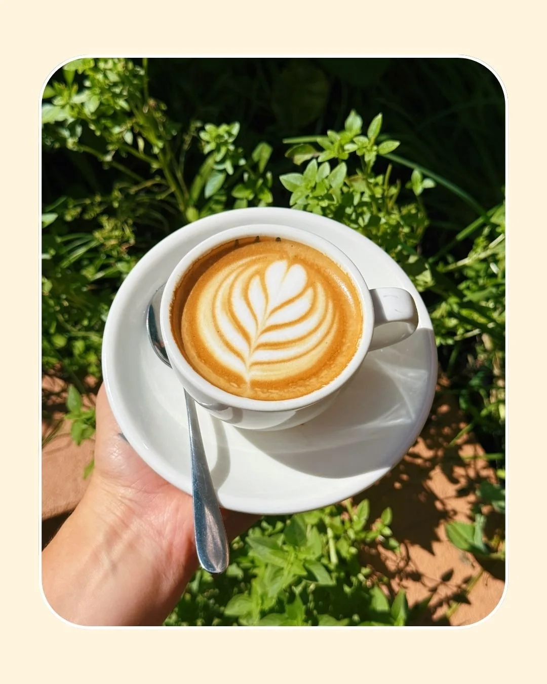 It&rsquo;s the little things that make it all work ☕✨

A coffee made with care,
A garden grown with love,
And a team that truly takes pride in what they do 🤍

With over 100,000 people visiting us each year, a small few of them choose to share their 