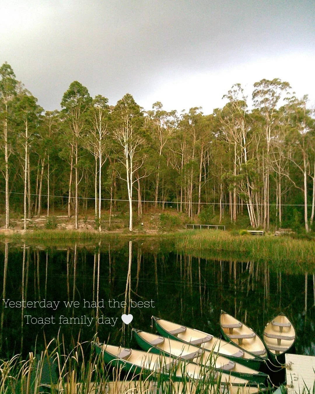 Yesterday was one for the books with our Toast family 🤍✨

We kicked things off flying through the air on the flying fox (yes, there are videos 😄), then gathered around for a big BBQ where everyone brought something to share, a proper feast, Toast-s
