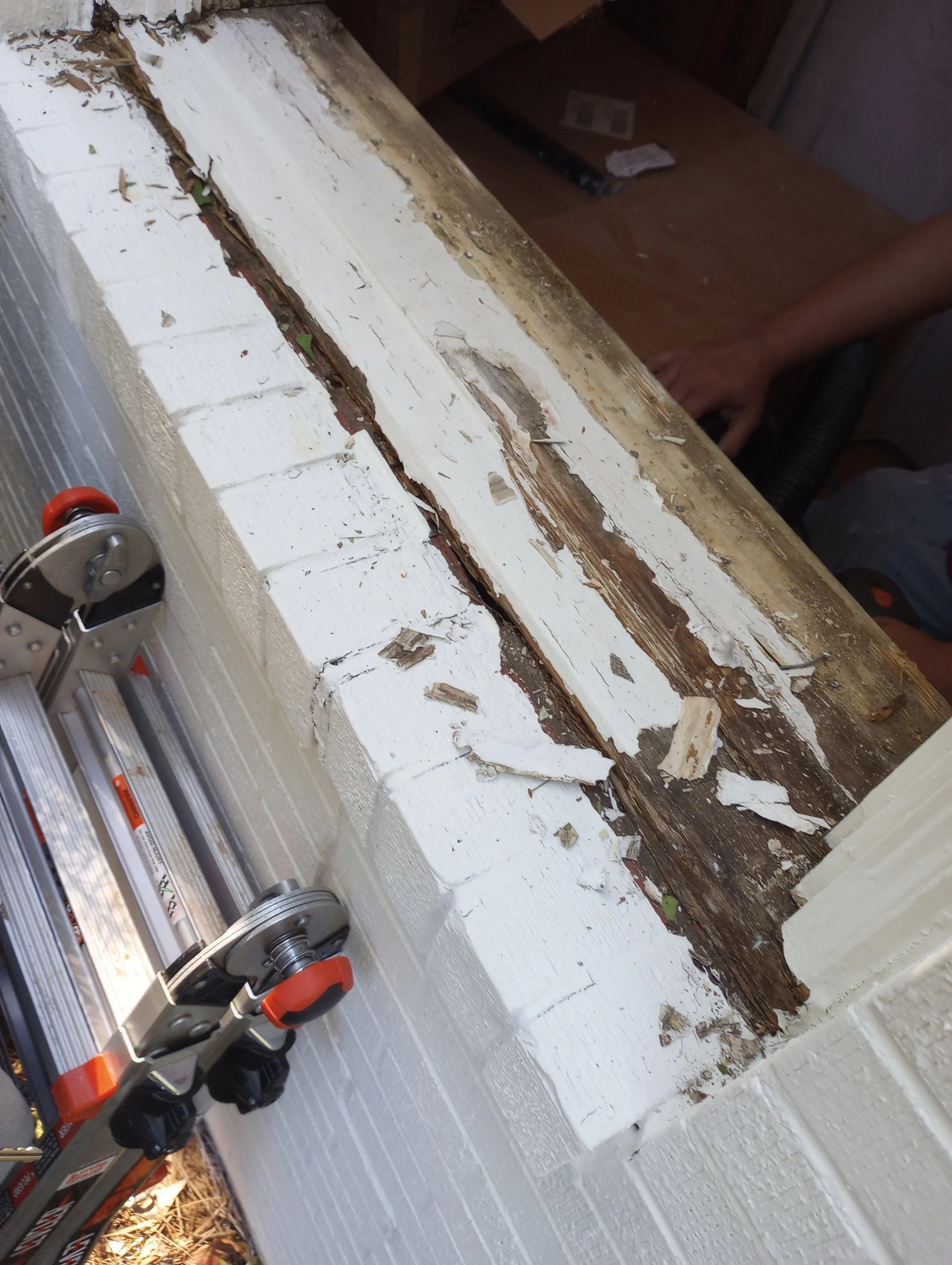 Close-up of a damaged wooden window sill on a white brick wall, with chipped paint and rotted wood, a person holding a vacuum, and part of a metal ladder or scaffold.