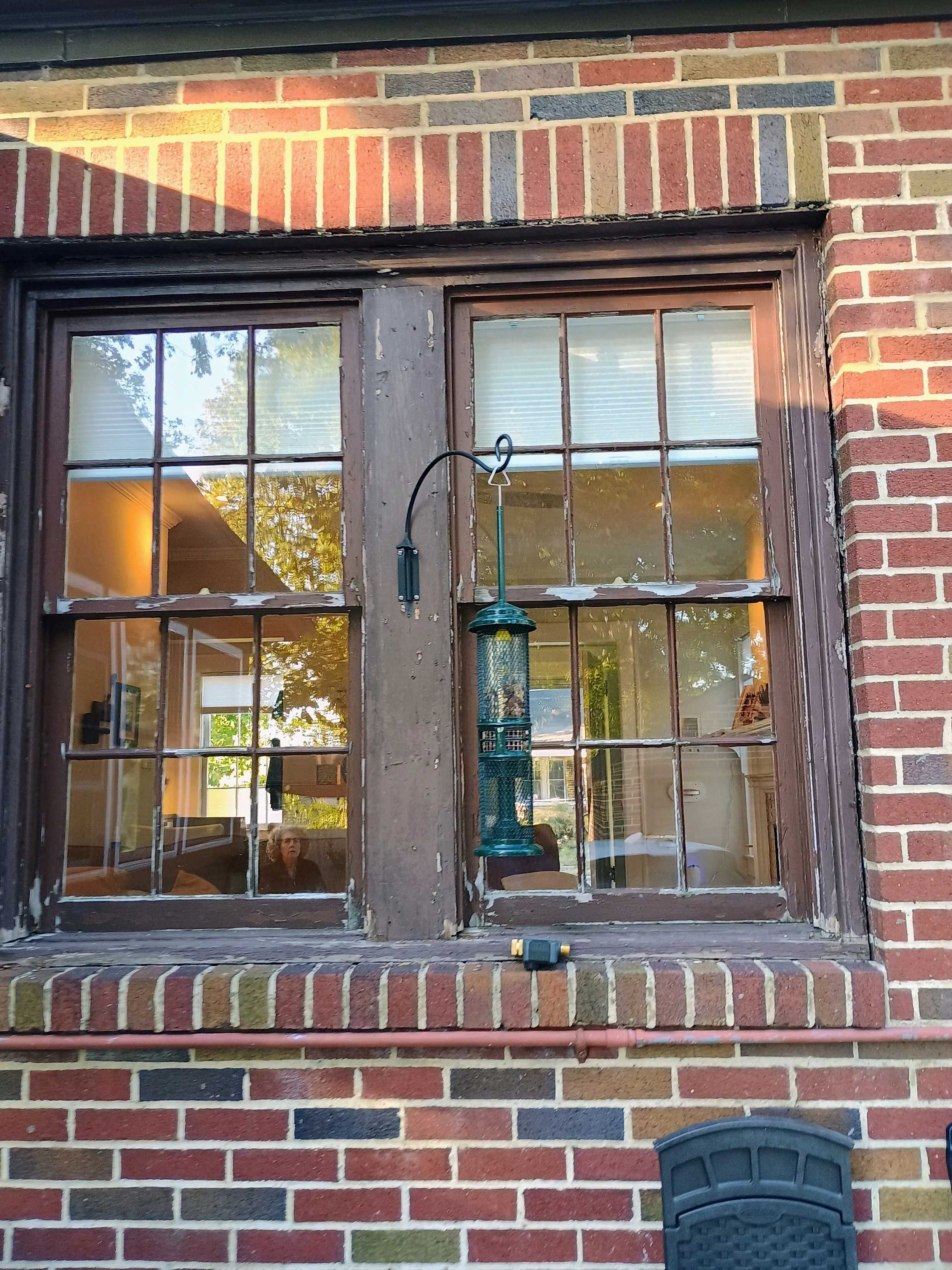 View of a brick house window with hanging bird feeder outside, showing interior room with furniture and a person taking the photo.
