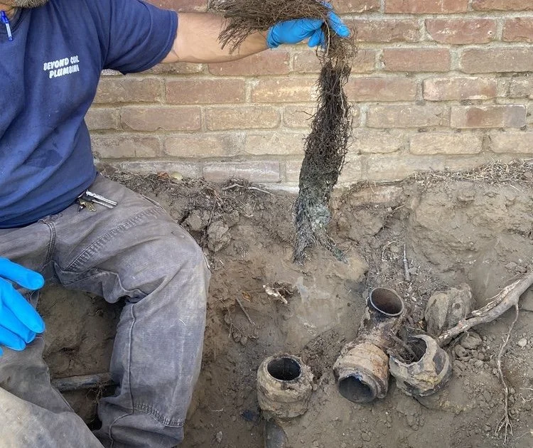 Drain, Sewer & Septic