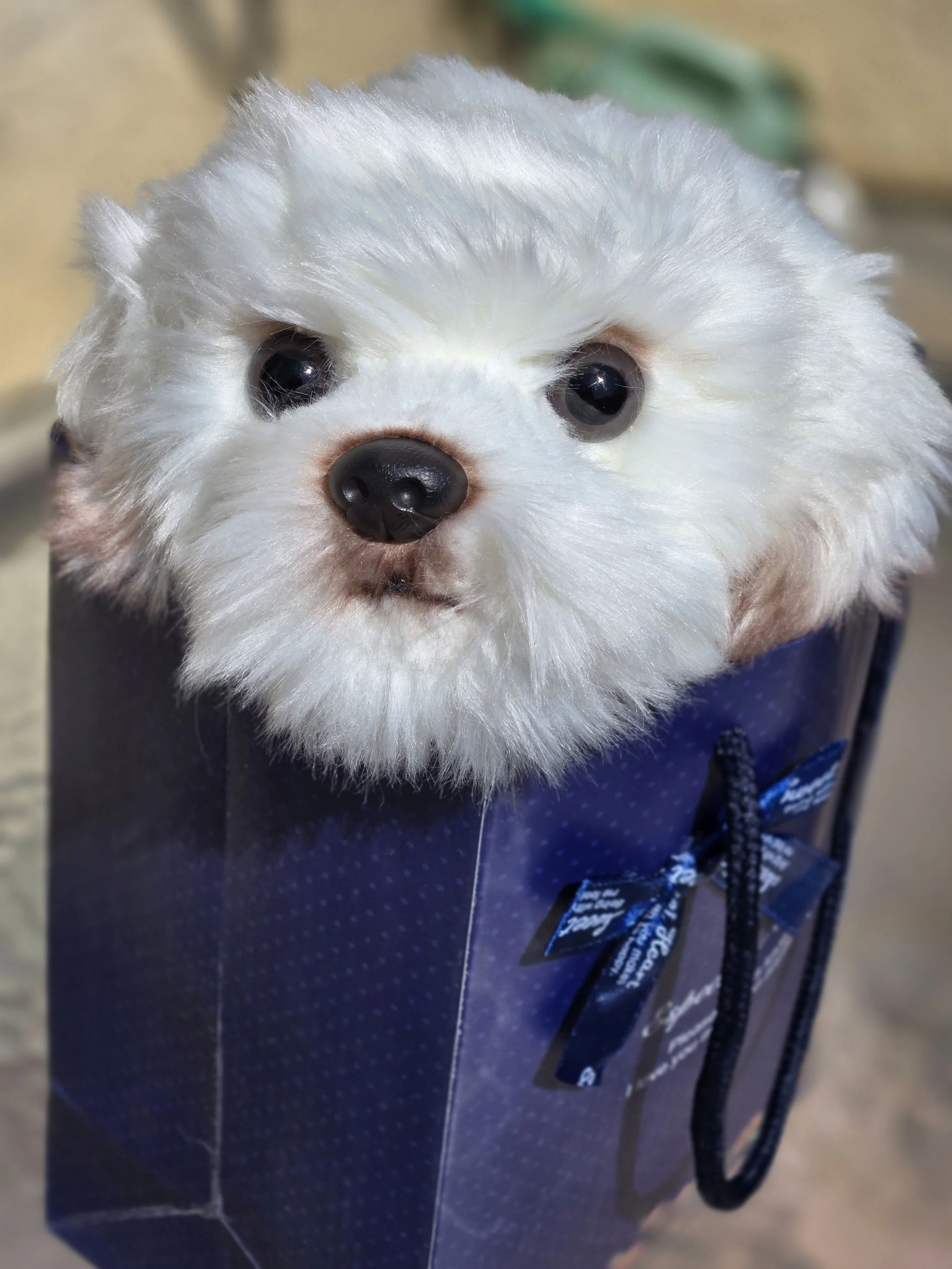 The Maltese comfort companion that Machiko no Ishi (Machiko's Legacy) donates to hospice and palliative care patients.