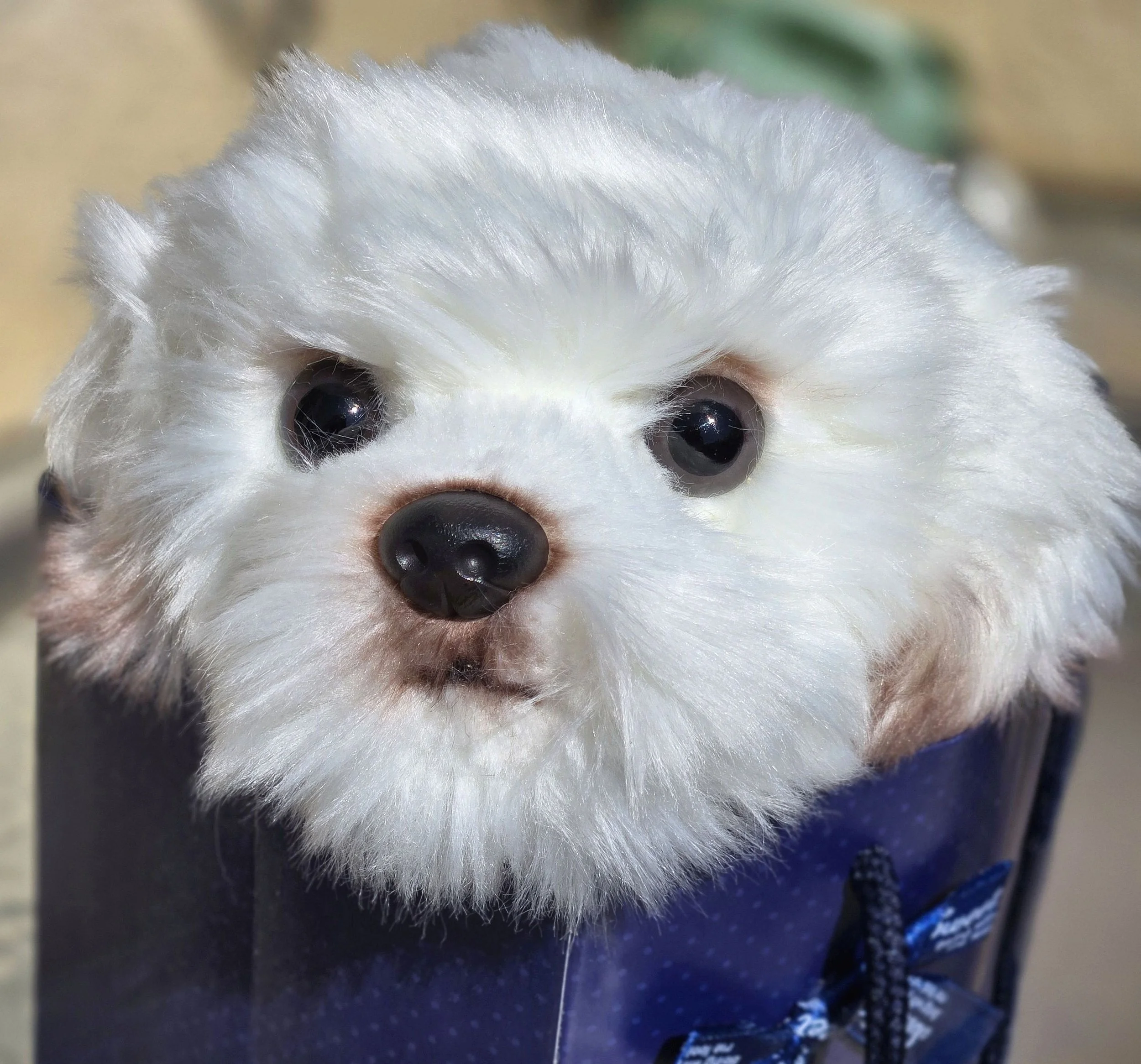 Machiko no Ishi's plush Maltese companions come in a gift bag with a handwritten message of hope, a comb and care instructions.