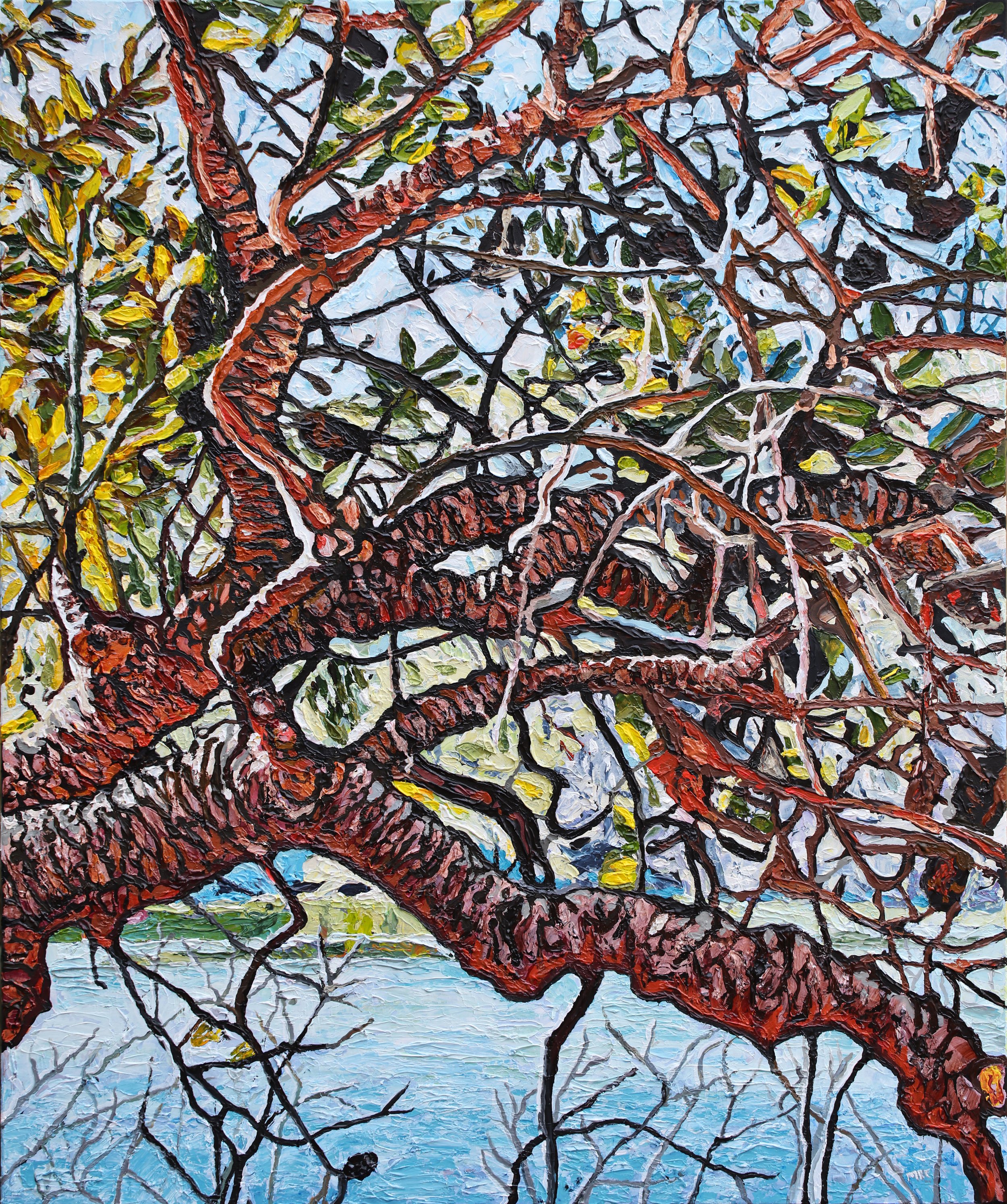 SunlitBanksiaBantryBay_103cmx123cm_AcryliconCanvas_Framed_MarkEland_A$3465.jpg