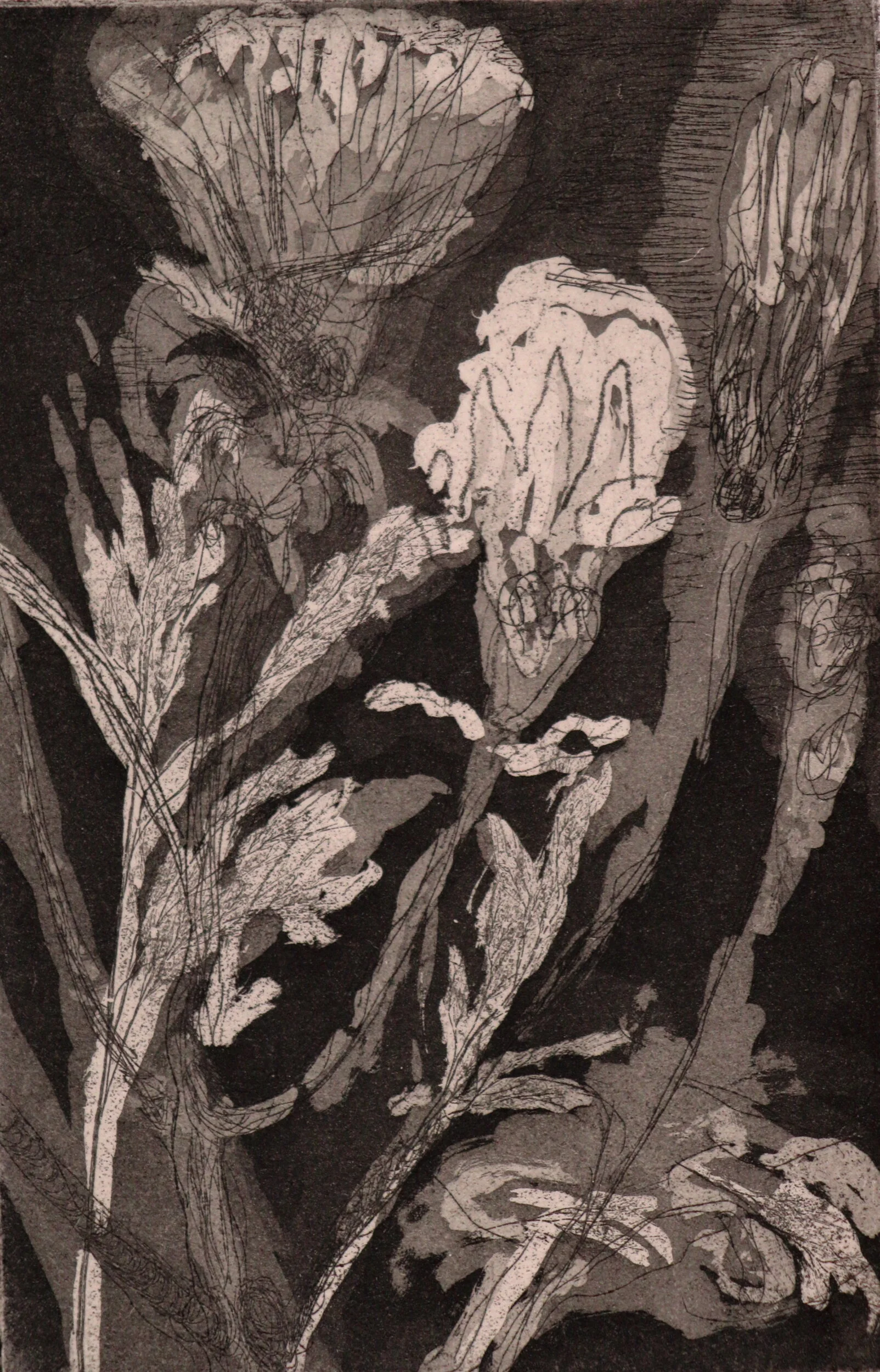 IMG_0321_WEB_Thistle's Flight.JPG