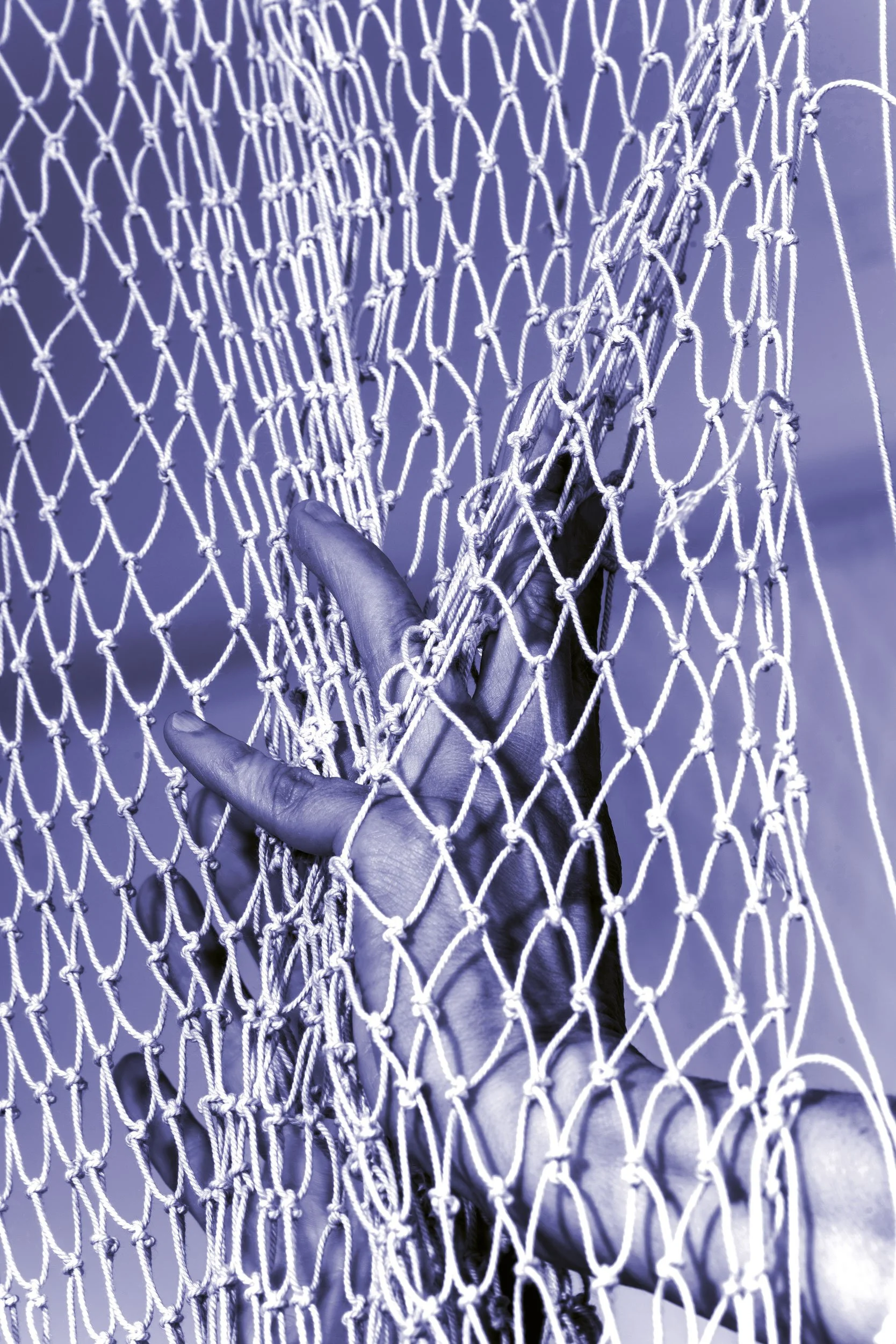 Nets, Lines & Other Entanglements