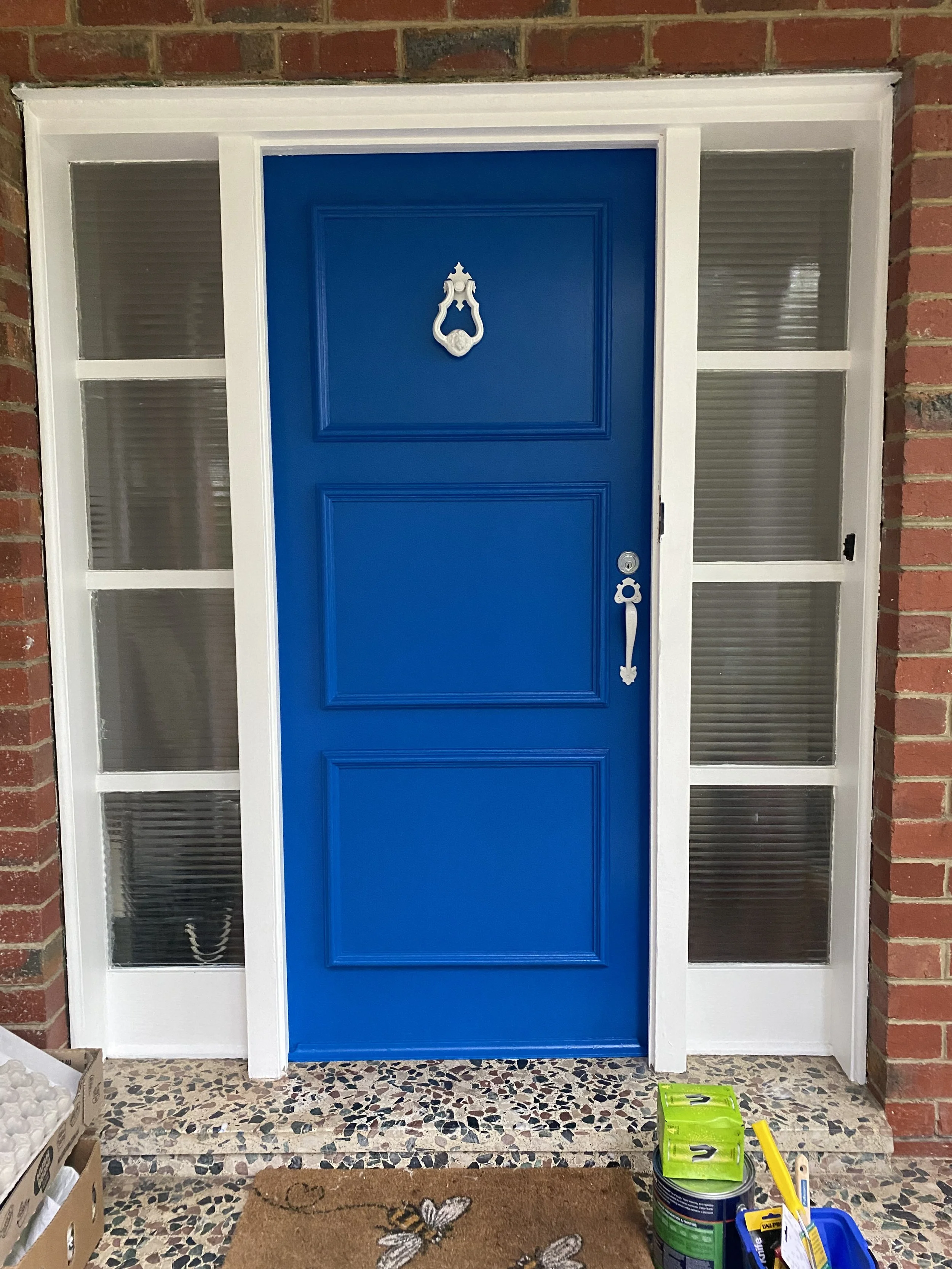 Blue Paint Door