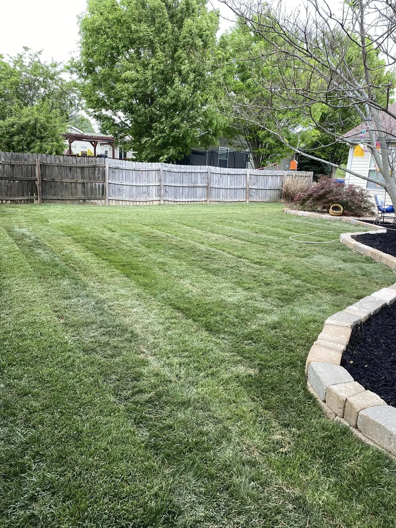 A well-maintained backyard with a lush green lawn, a wooden fence, and a garden bed with dark mulch and a retaining wall made of bricks. There are trees with green leaves and a house in the background.
