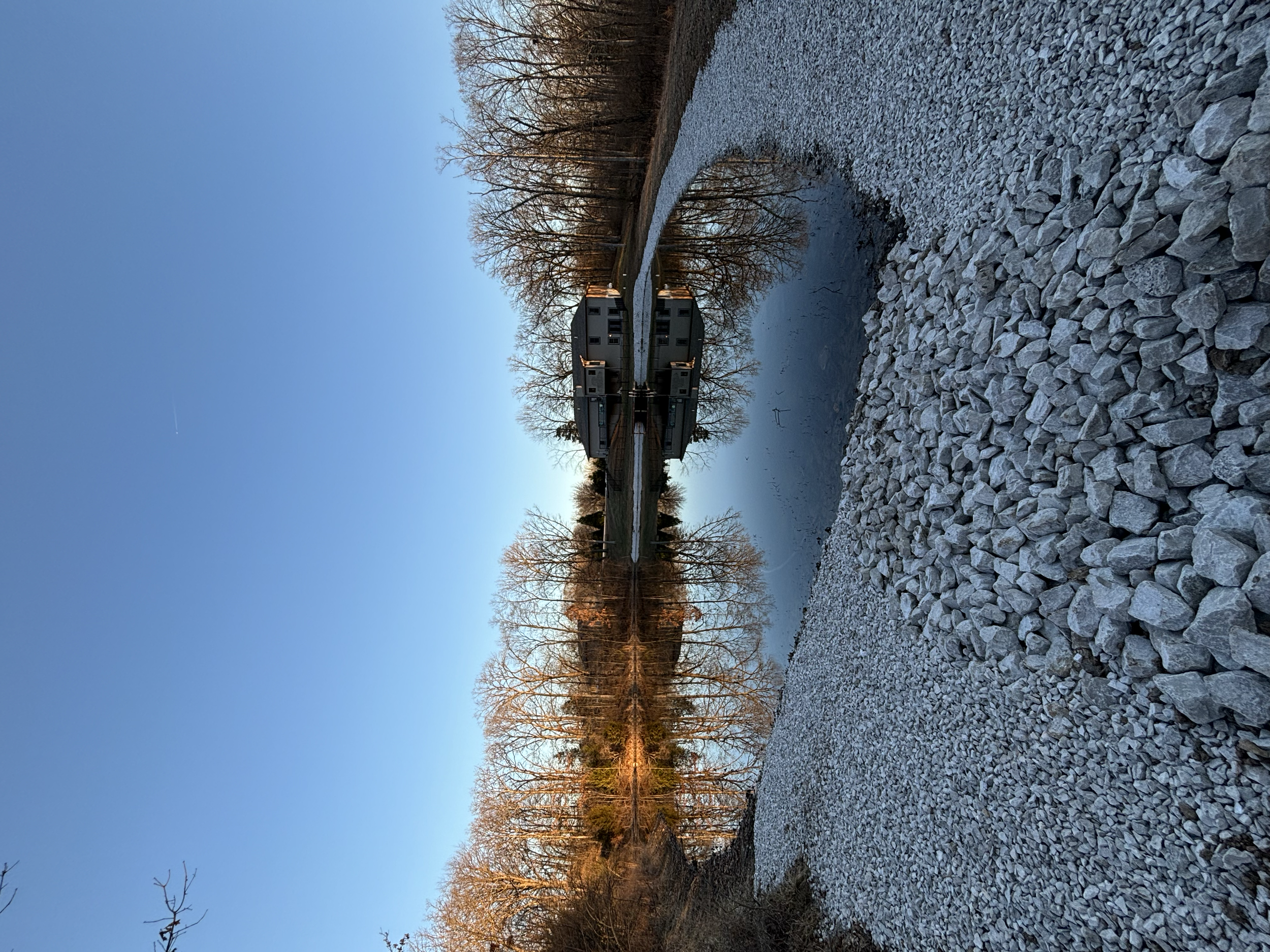 Two trains on a canal with leafless trees and a clear blue sky during sunset.