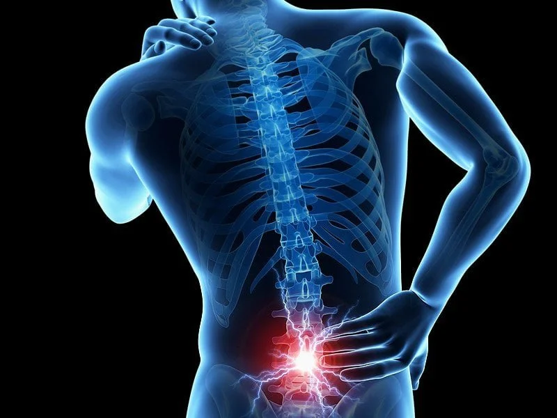lower back pain picture.jpeg