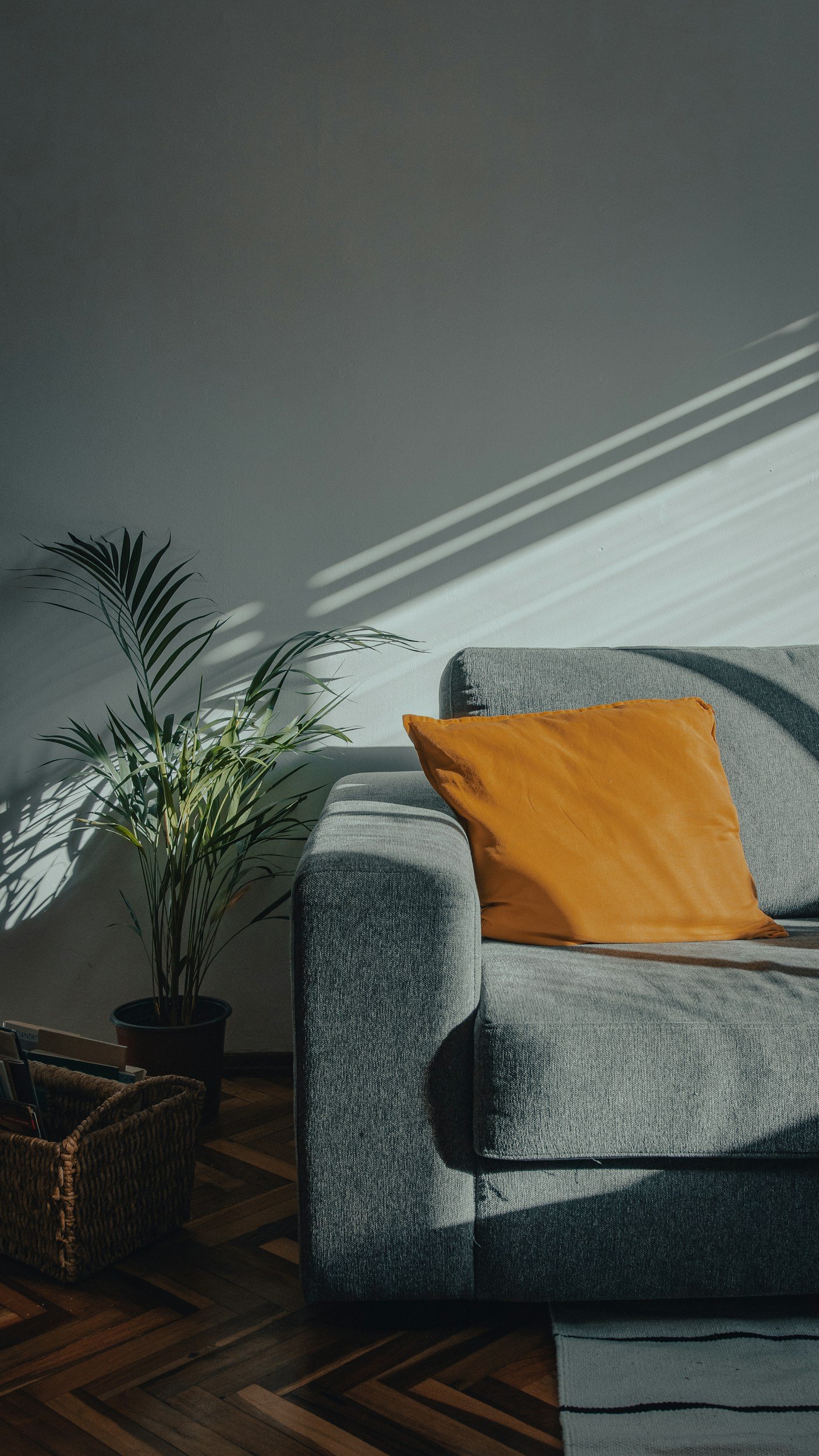A corner of a living room with a grey sofa, a mustard yellow pillow, a potted green plant, and a basket of magazines, with sunlight creating diagonal shadows on the wall.